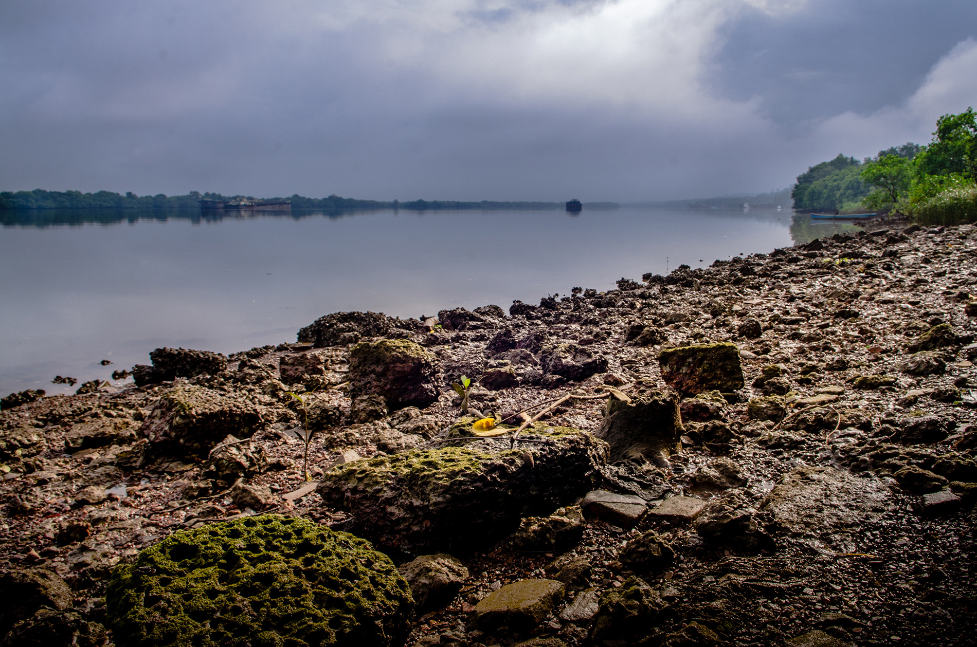 River Mondovi (Mahadayi)