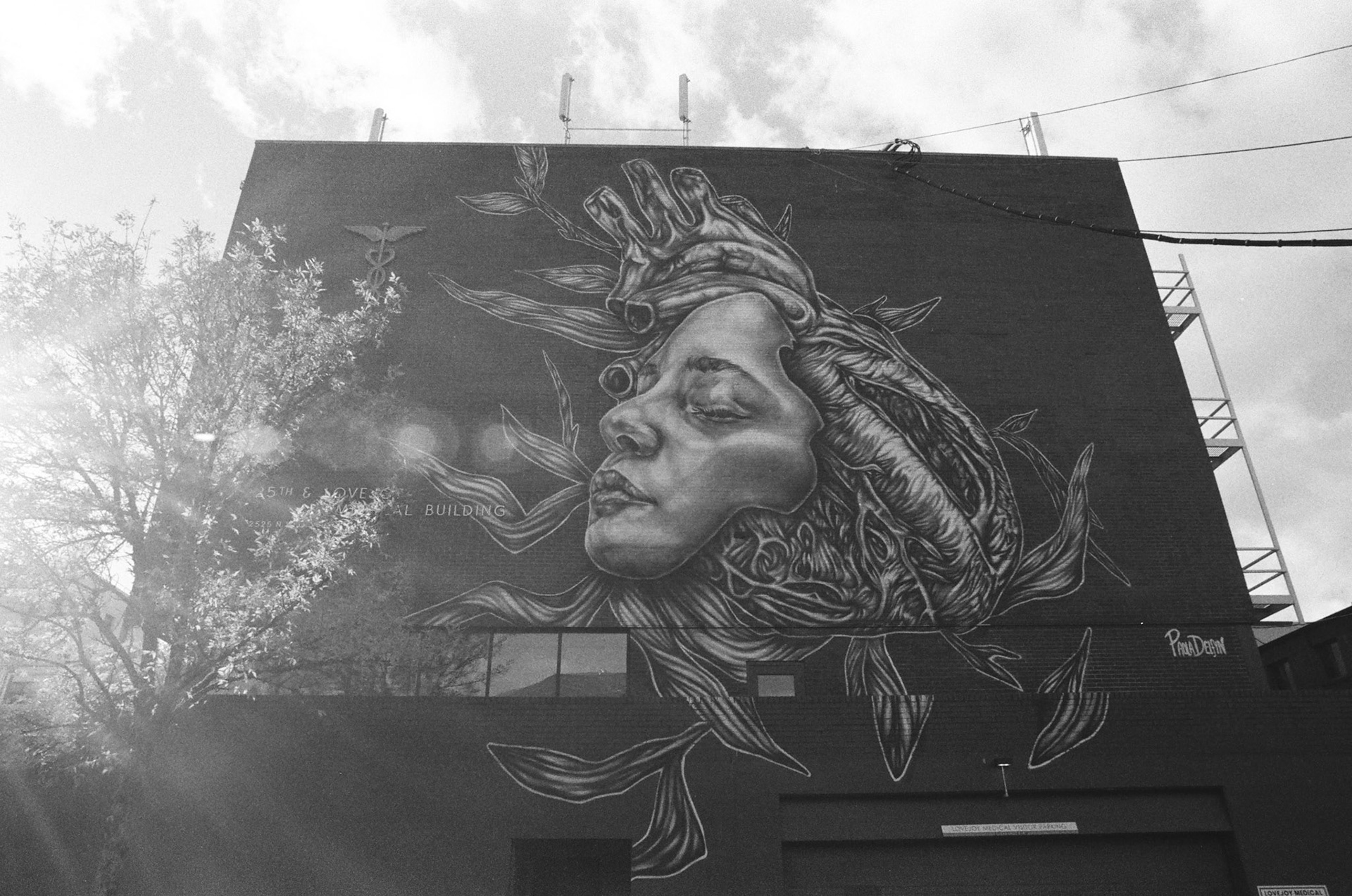 Portland       -Street Candy