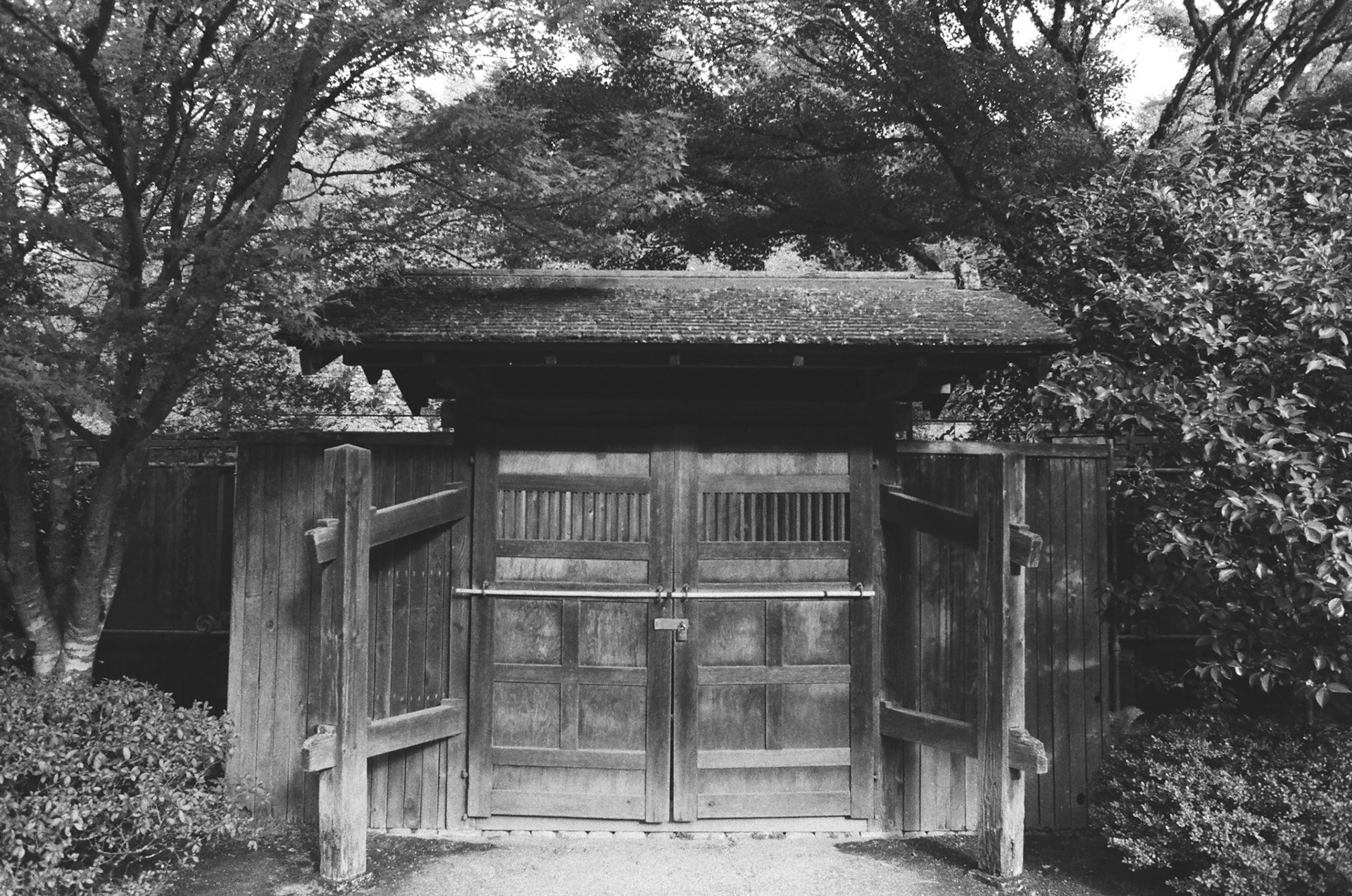 Seattle Japanese Garden   -   Street Candy