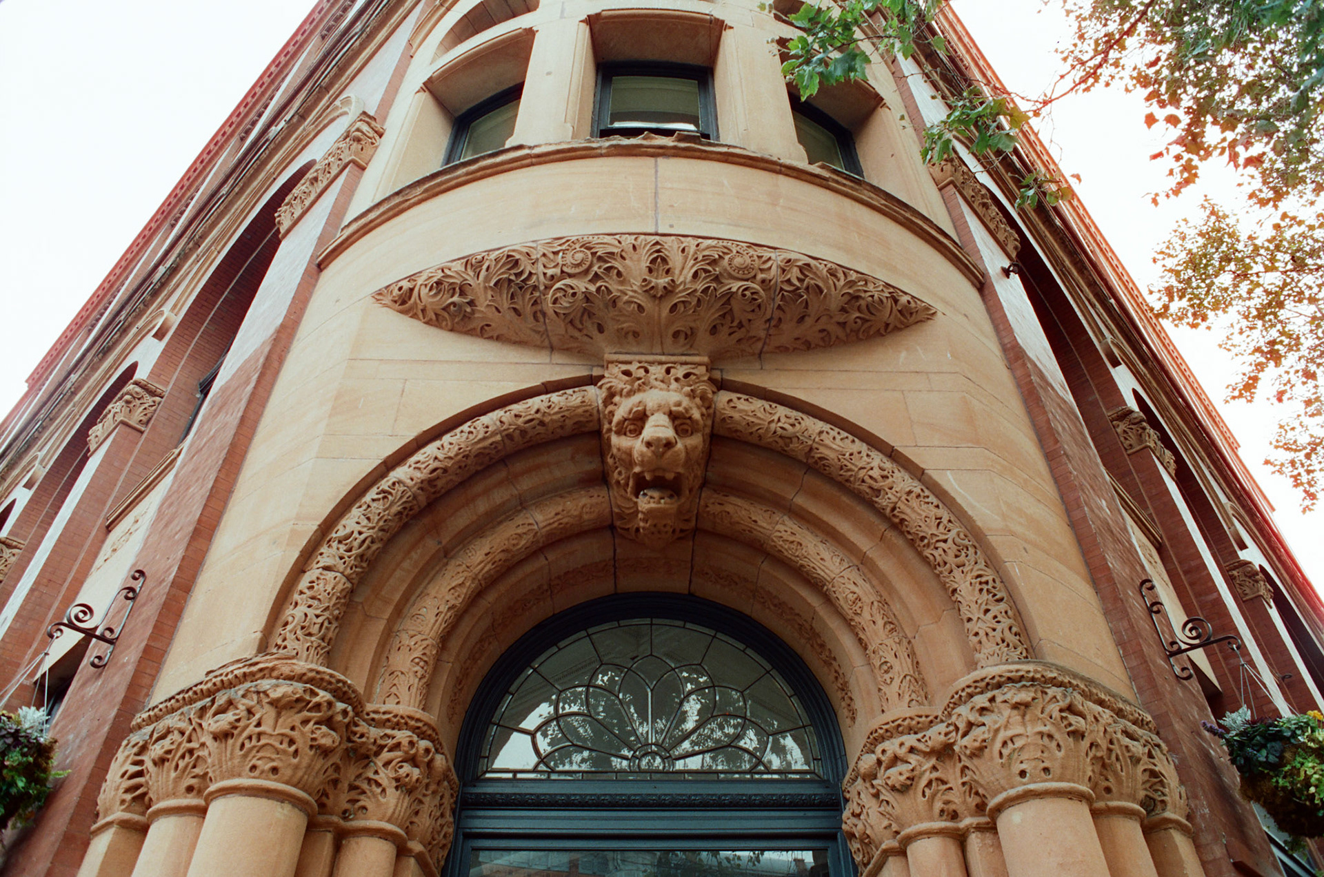 seattle, cinestill 400d