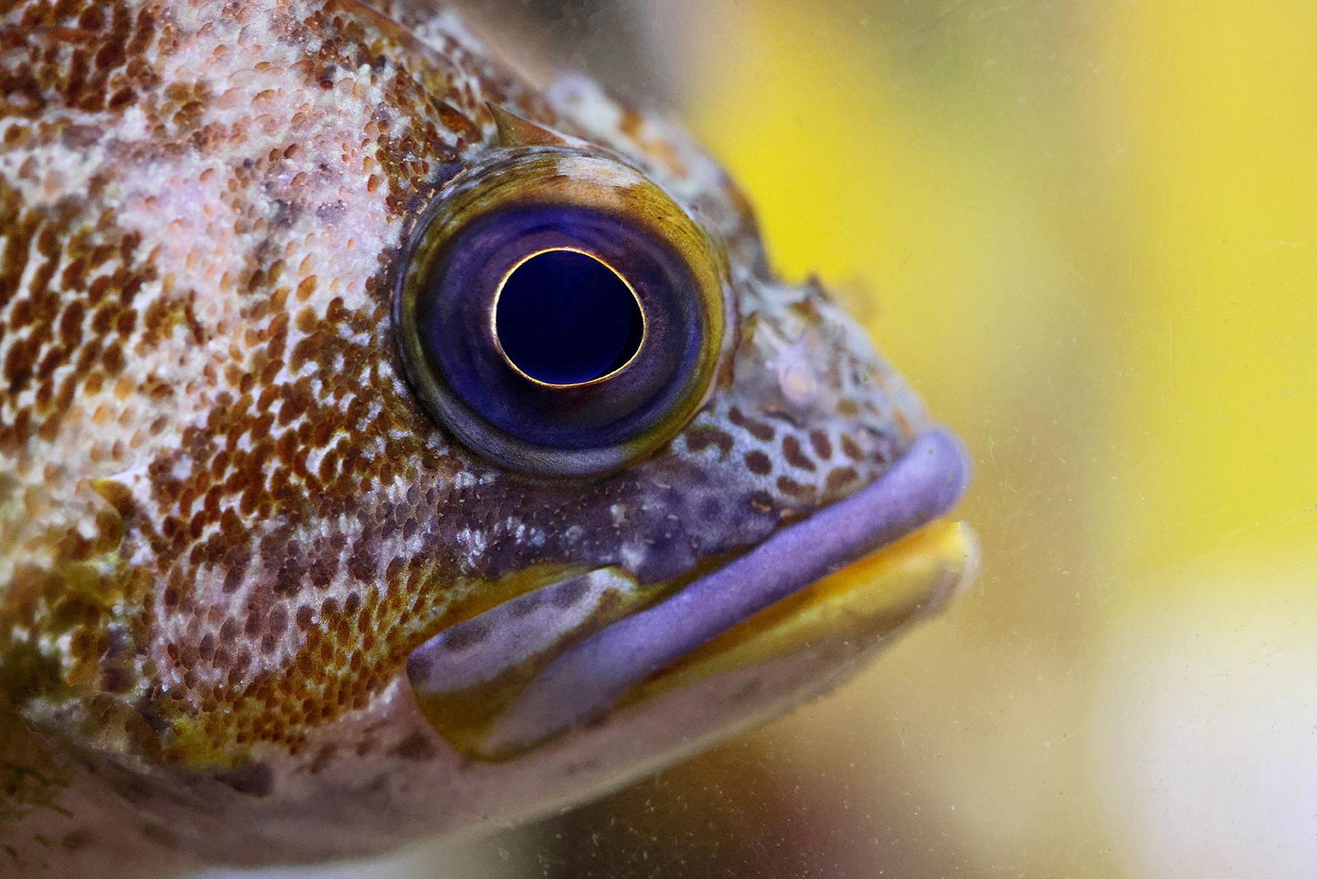 Denver Aquarium