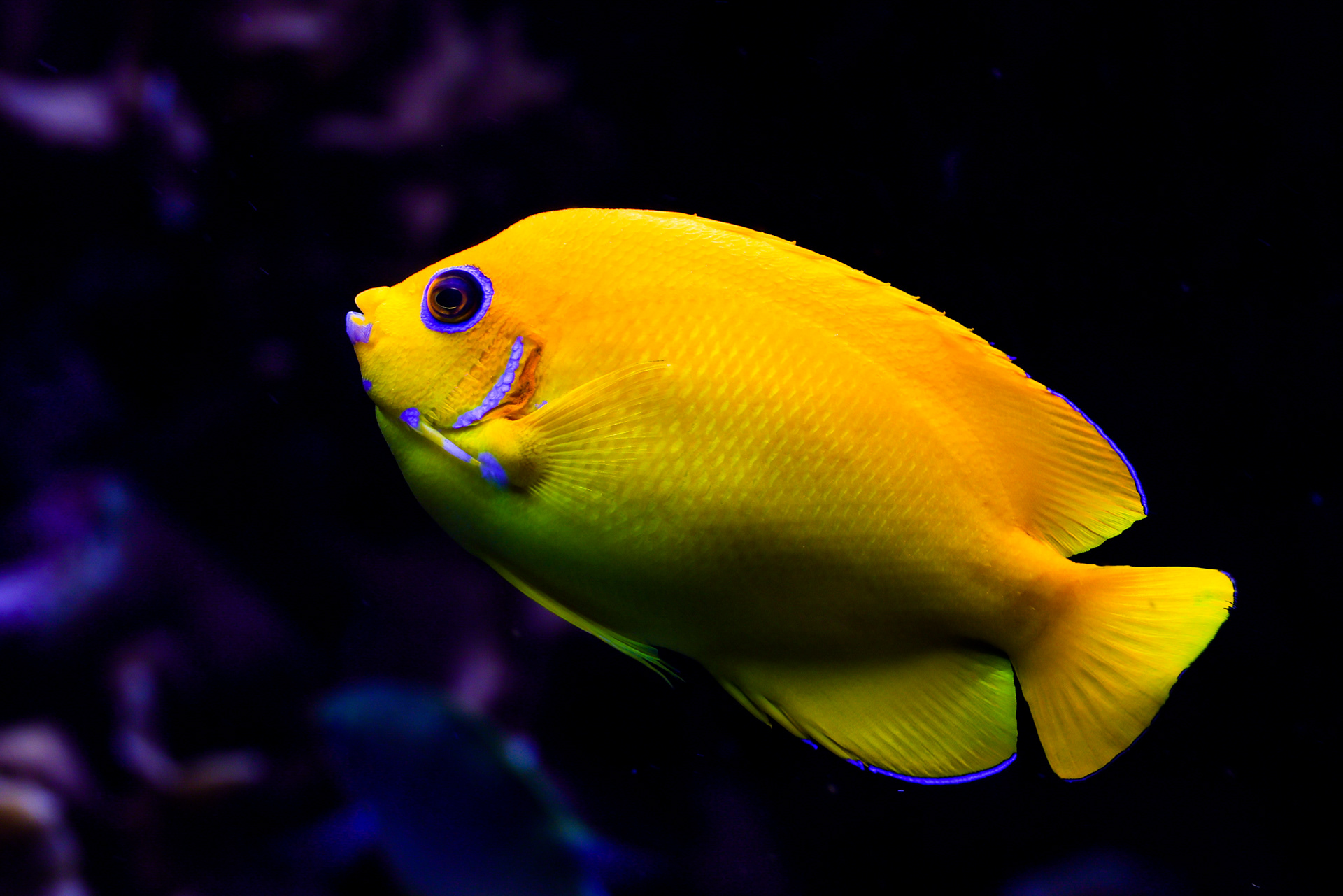 Denver Aquarium