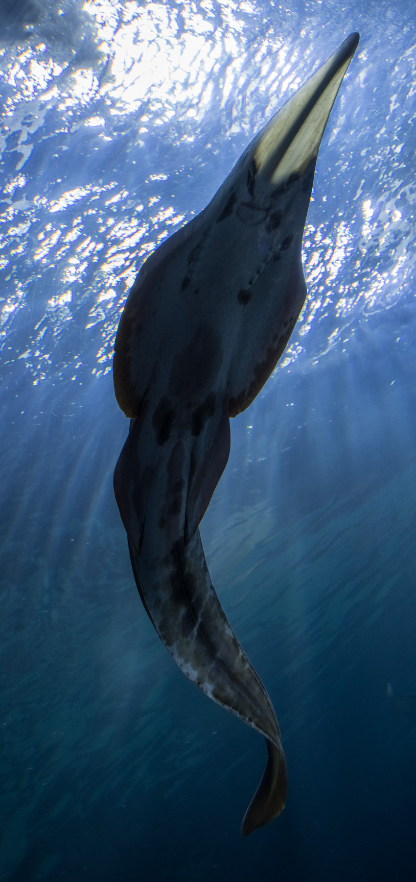 Denver Aquarium