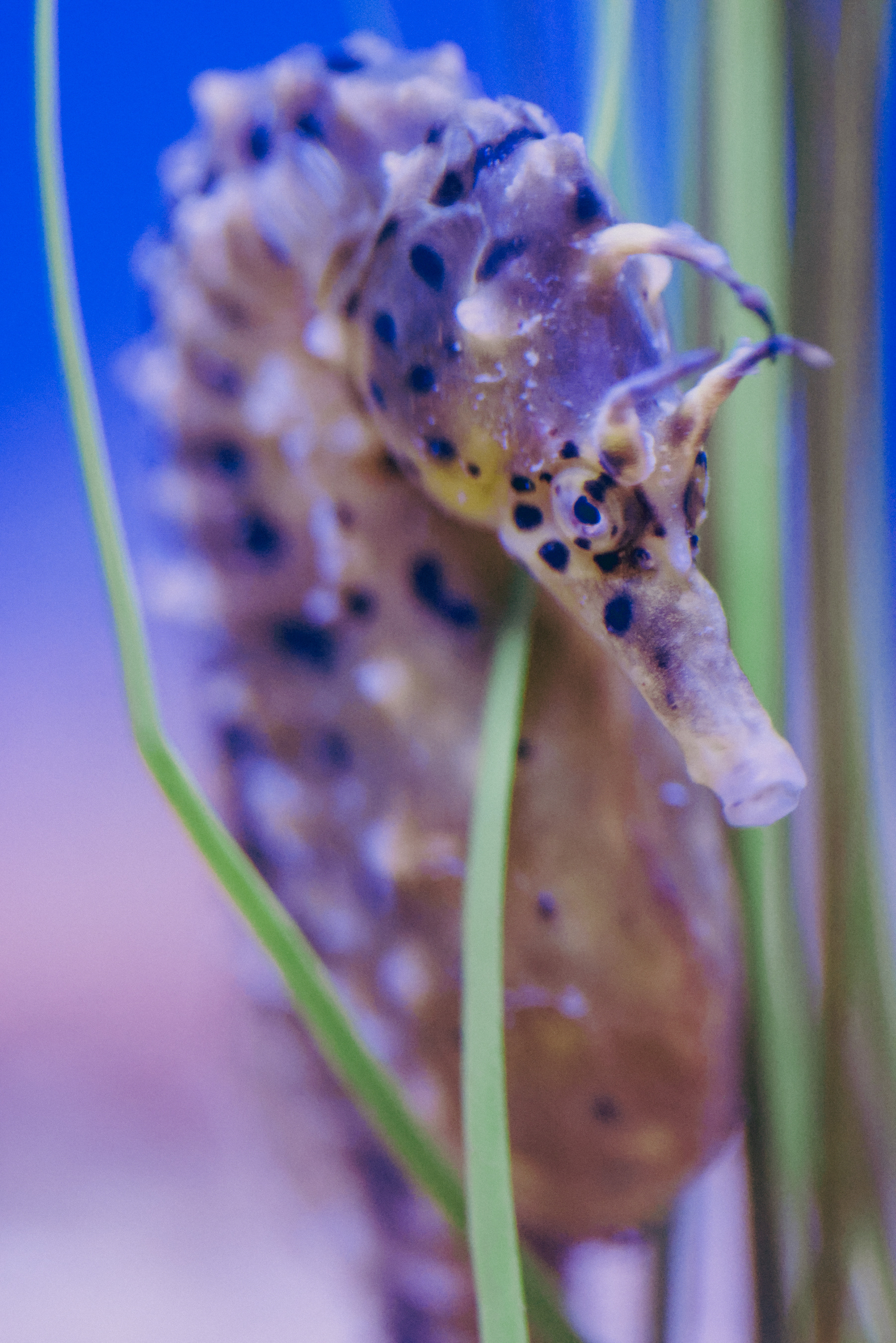 Denver Aquarium