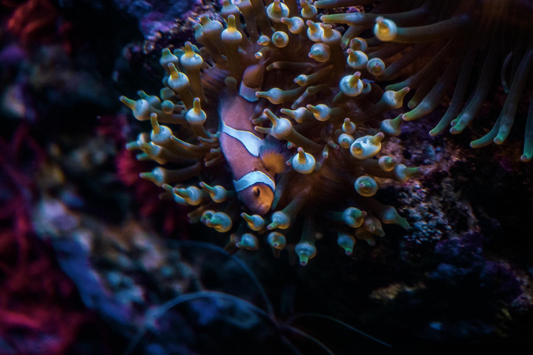 Denver Aquarium