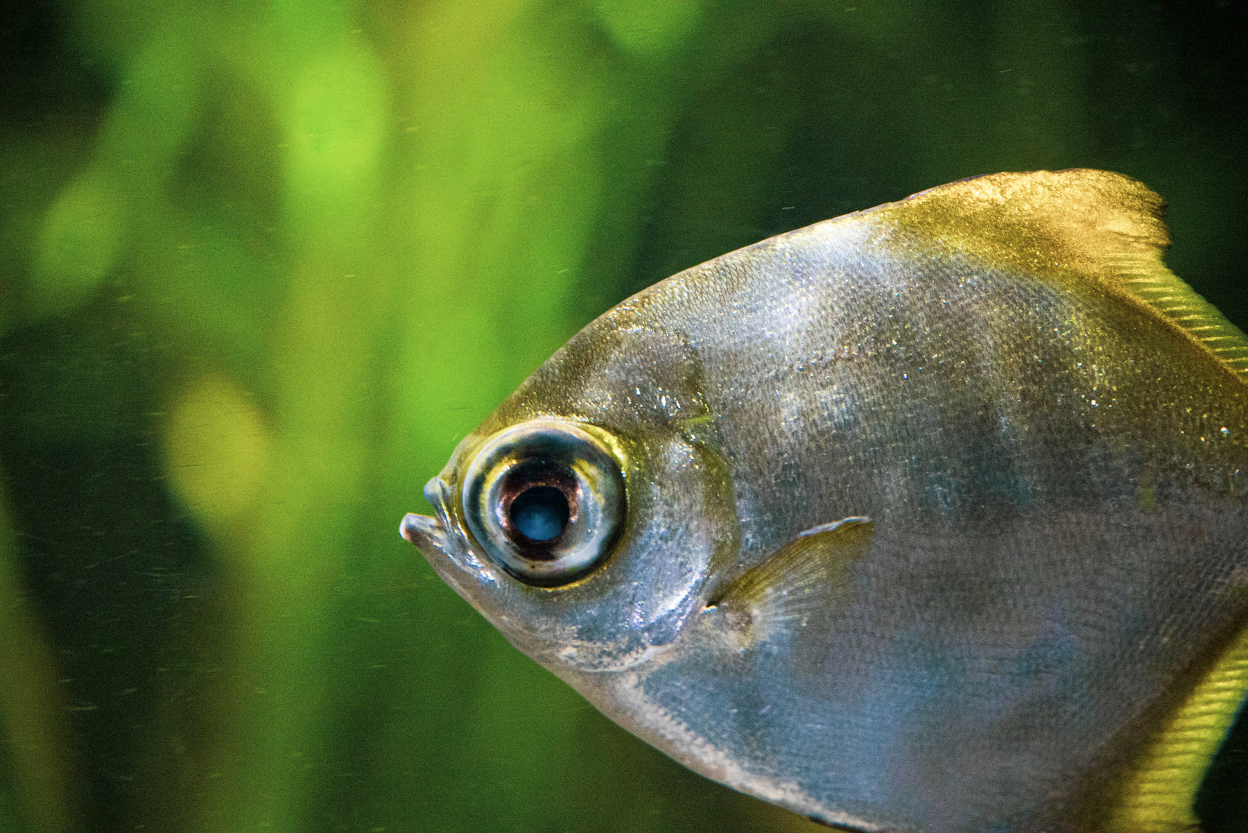 Denver Aquarium