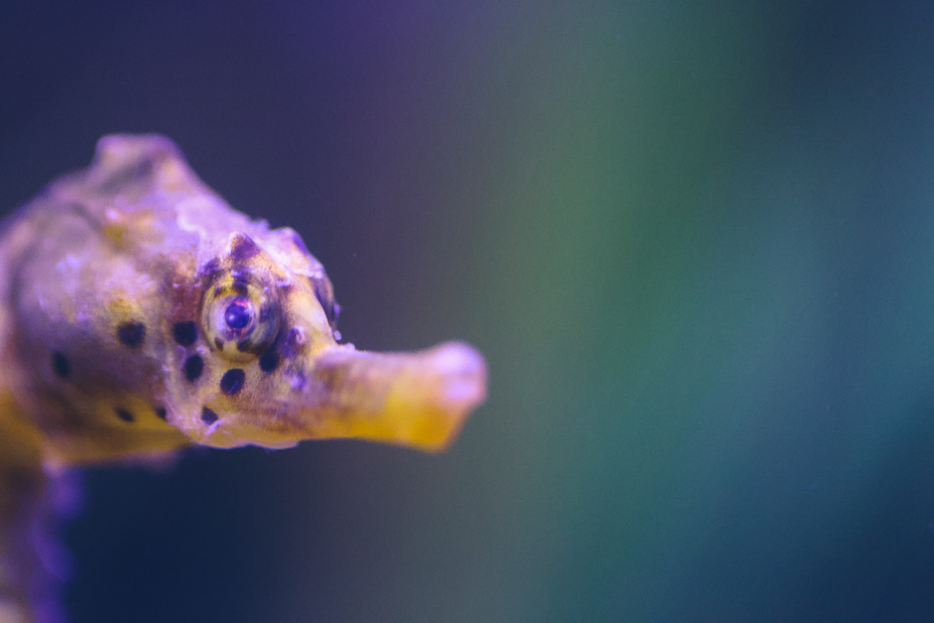 Denver Aquarium