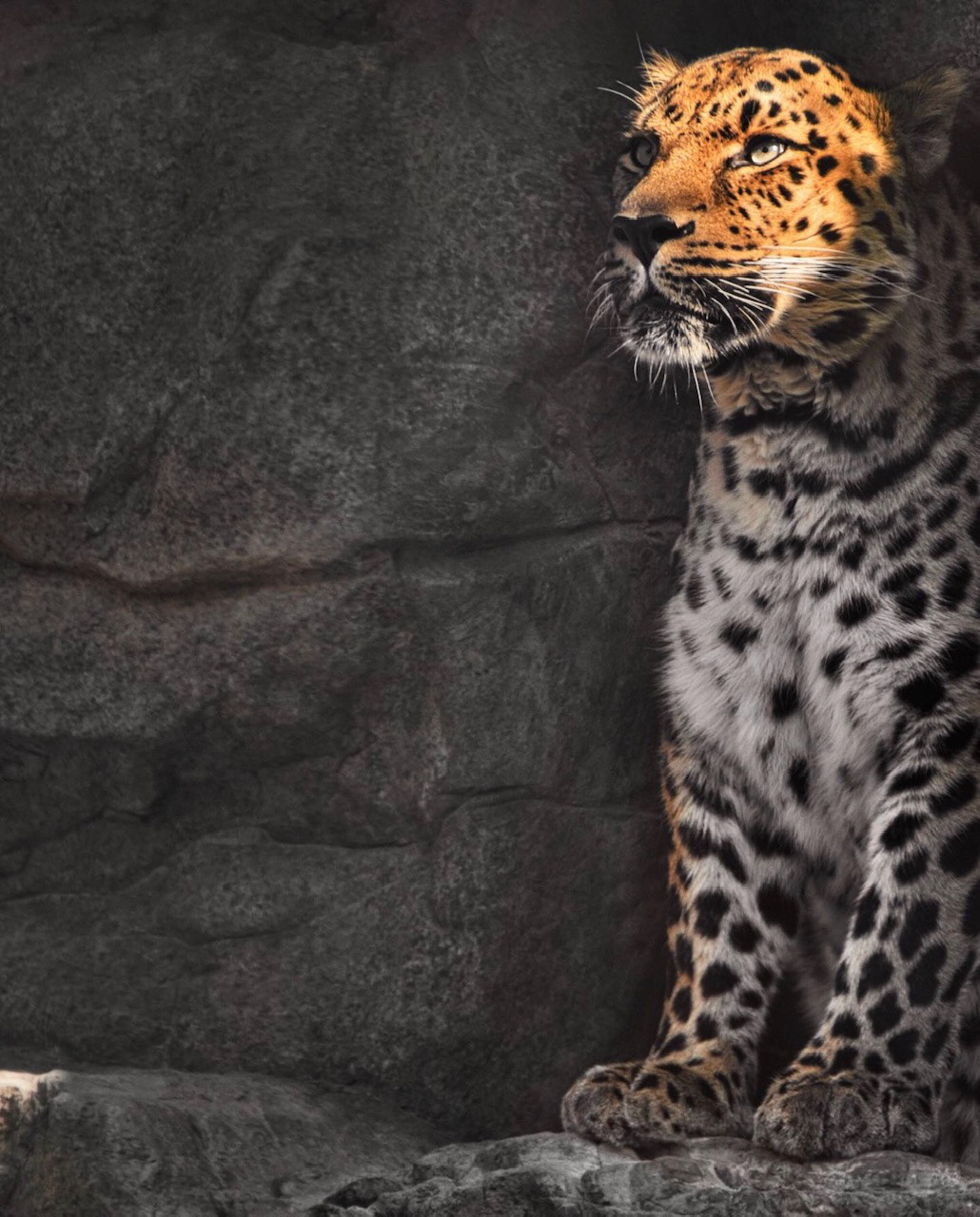 Denver Zoo