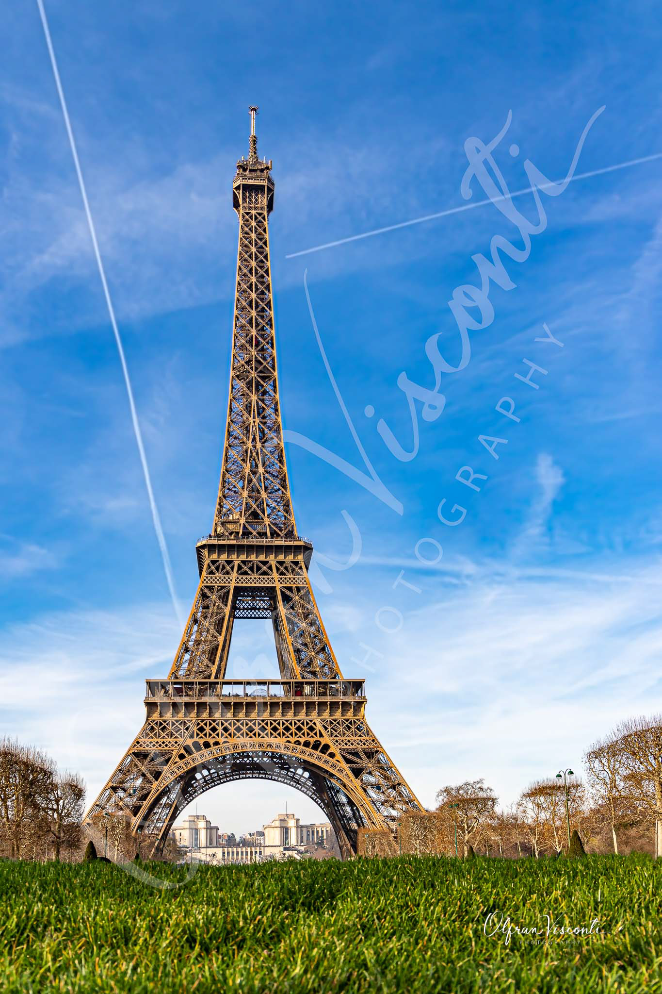 43. Eiffel Tower seen from Champ de Mars. Paris.