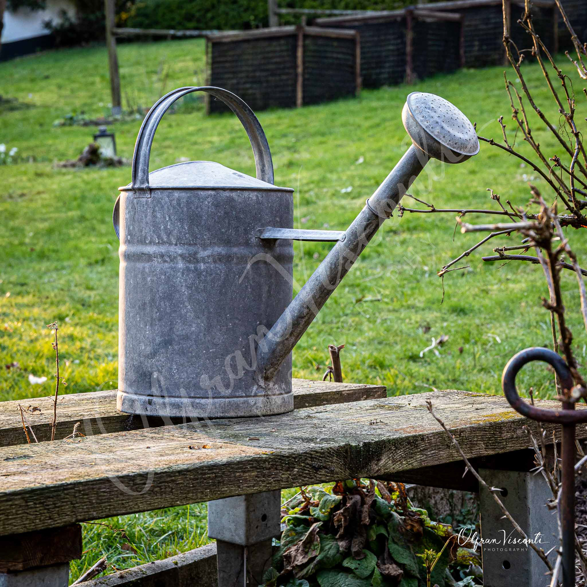 107. Watering can in the garden.