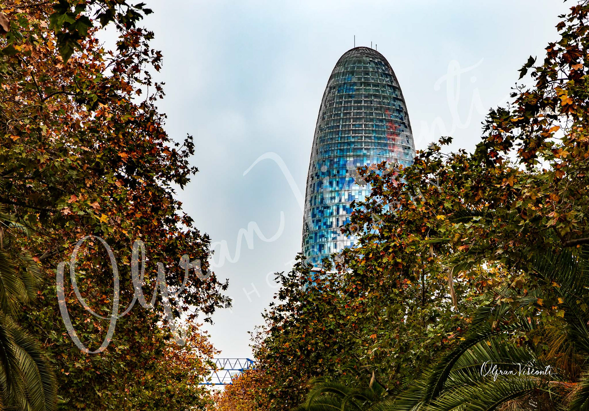 88. Tower Glories behind the trees.