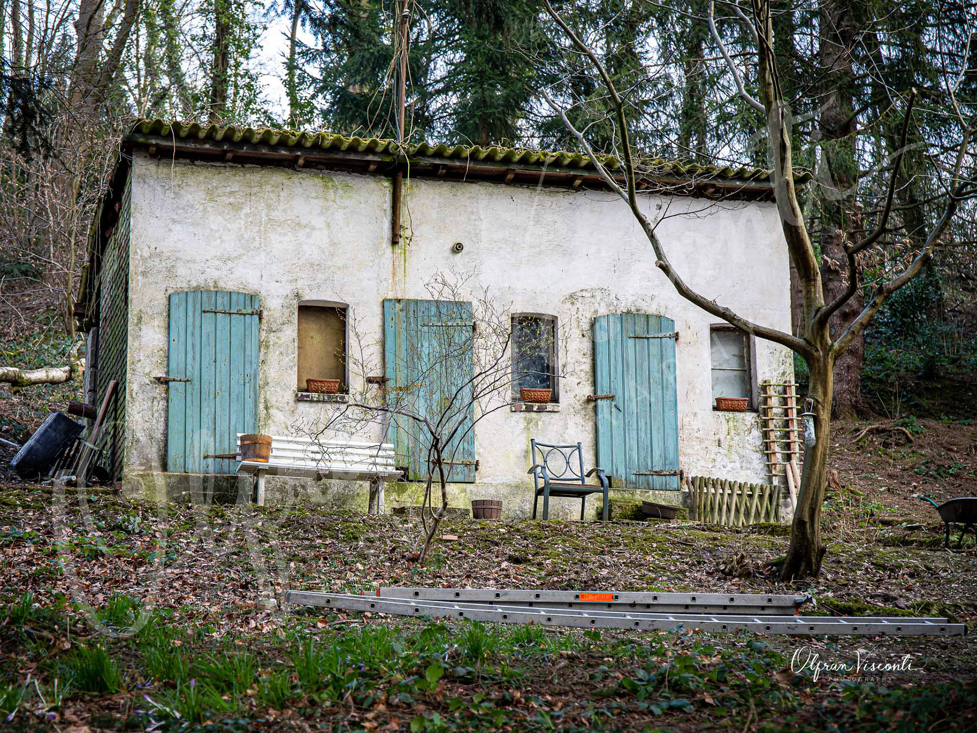 106. Old house in the woods.