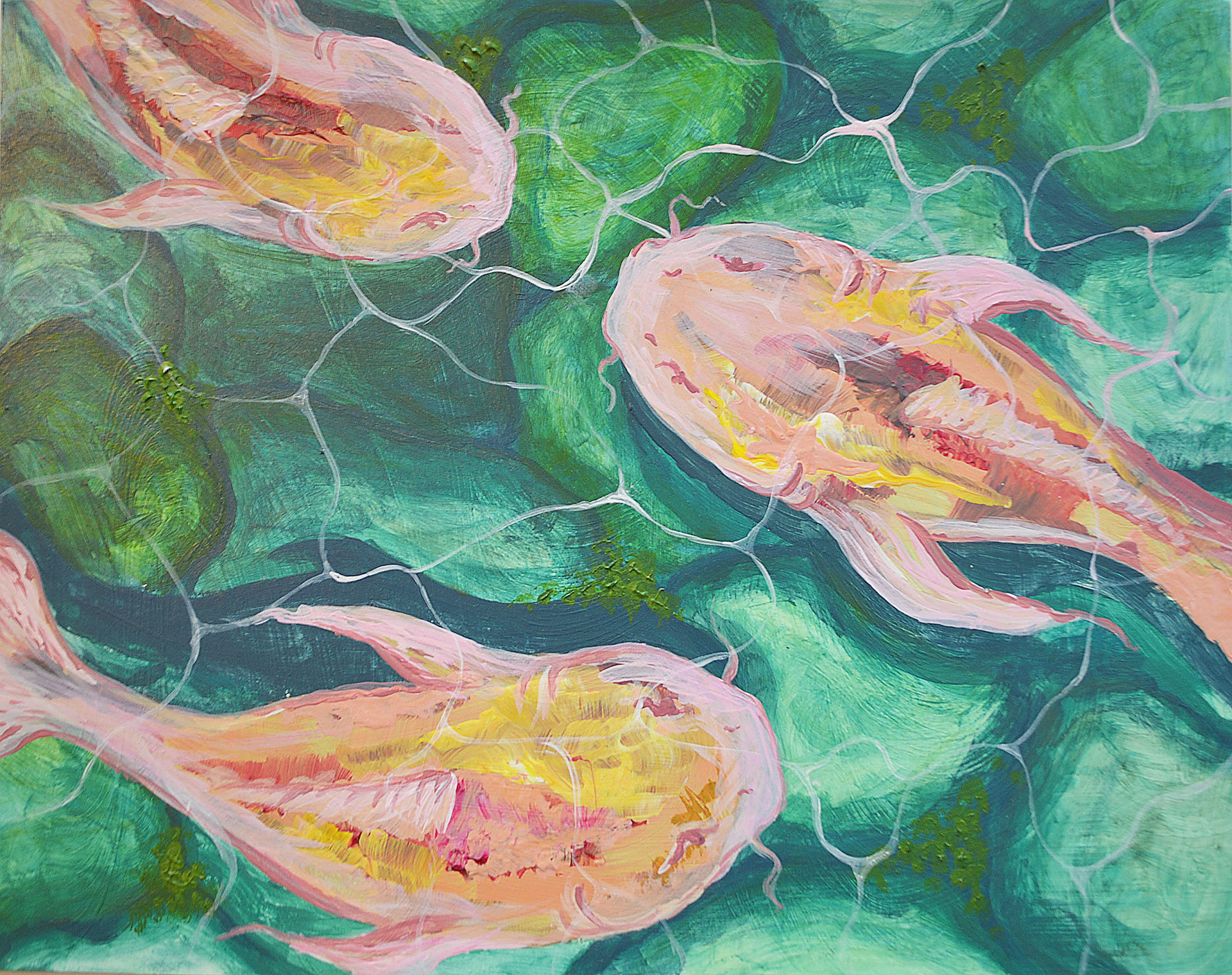 KOI FISH