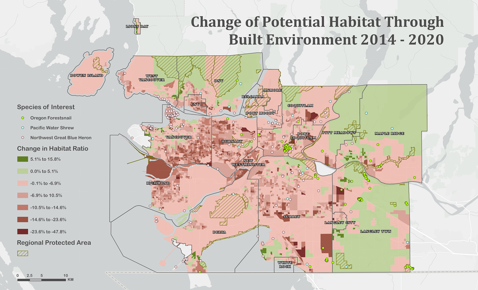 A map showcasing changes in potential habitat derived from increased development in Metro Vancouver, utilizing the location sightings of three endangered species as an analysis tool.