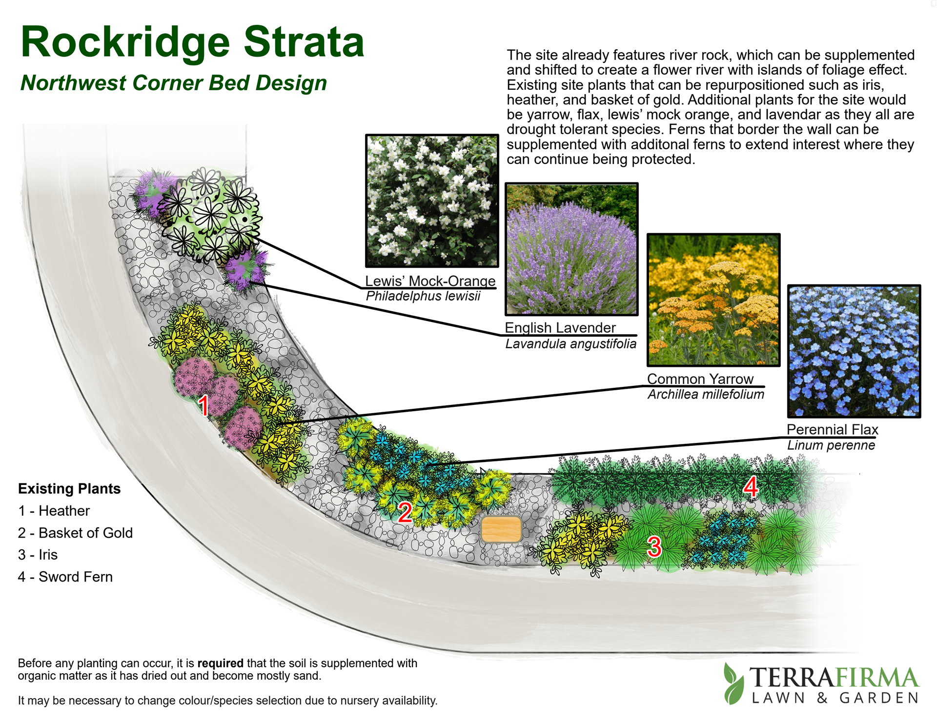 A street corner garden design for a strata client.
