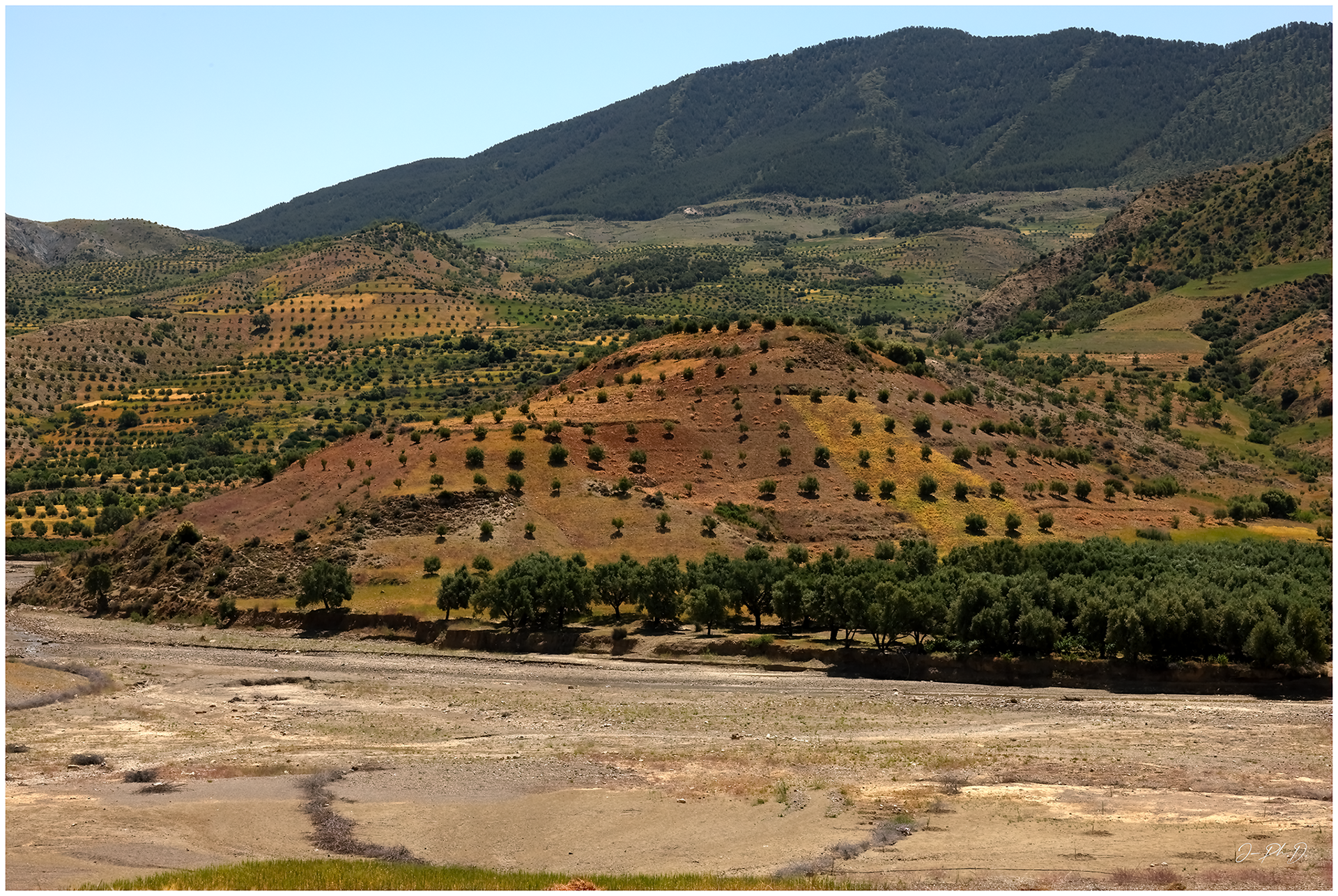 Beni Snassen, Morocco 2025.05 - #DK004