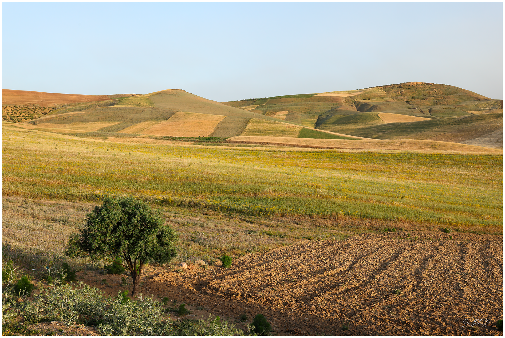 Fès, Morocco 2025.05 - #DK010