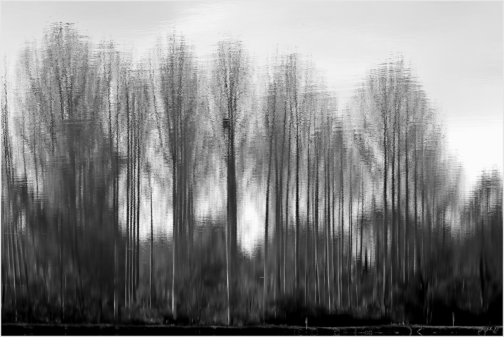 Surface, Soleymieux, France 2024.10 - #PA007