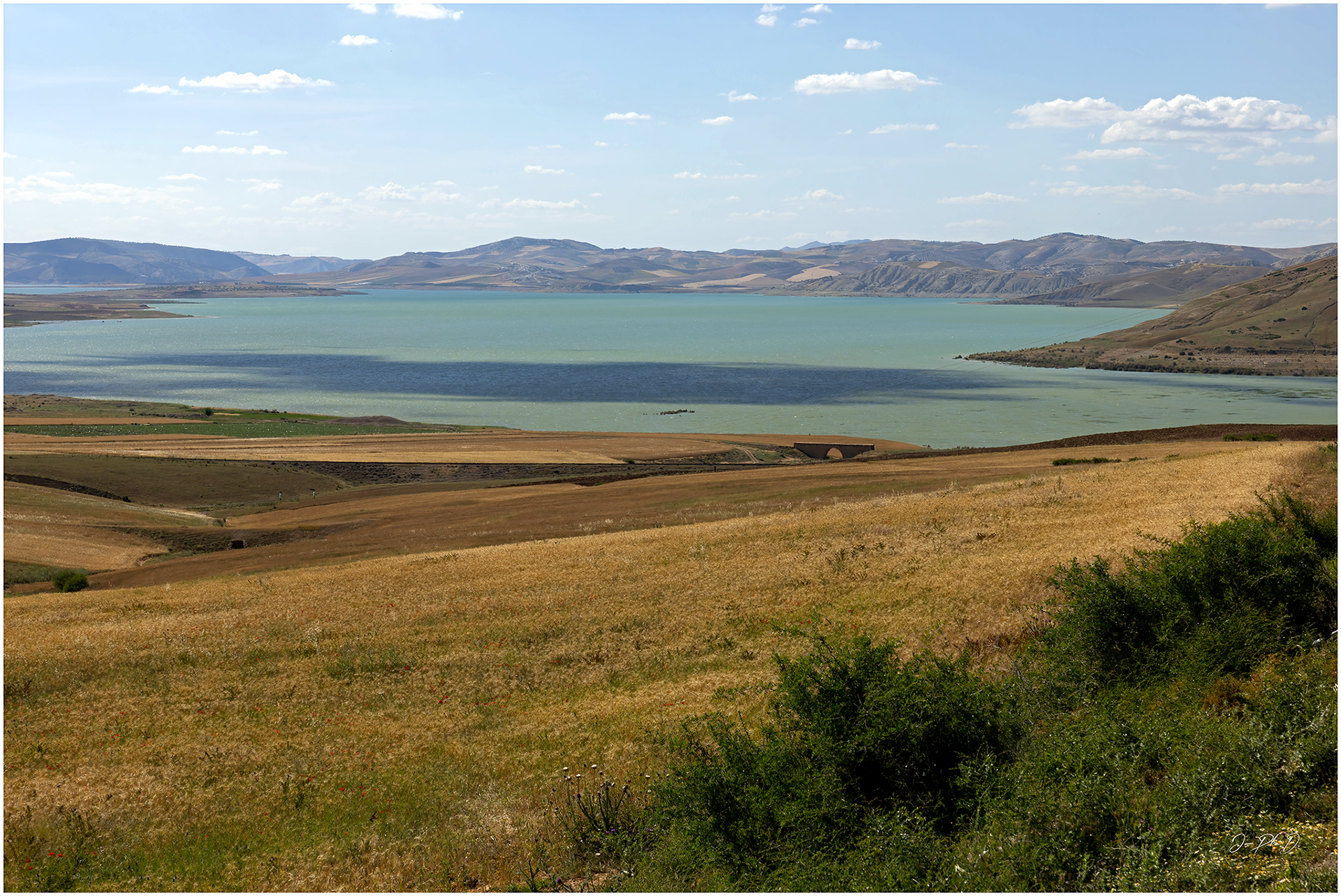 Idriss 1er lake, Sidi Abdeljelil, Morocco 2025.05 - #DK015