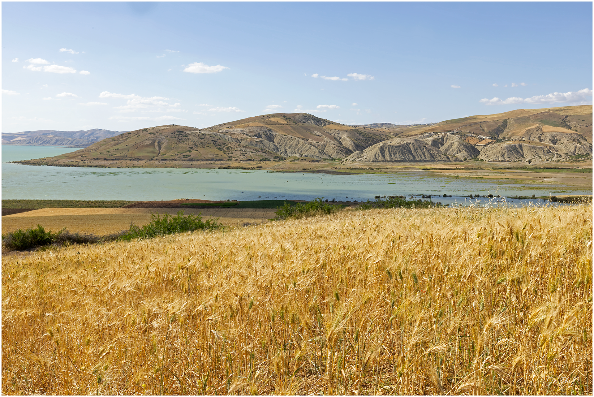Idriss 1er lake, Sidi Abdeljelil, Morocco 2025.05 - #DK013