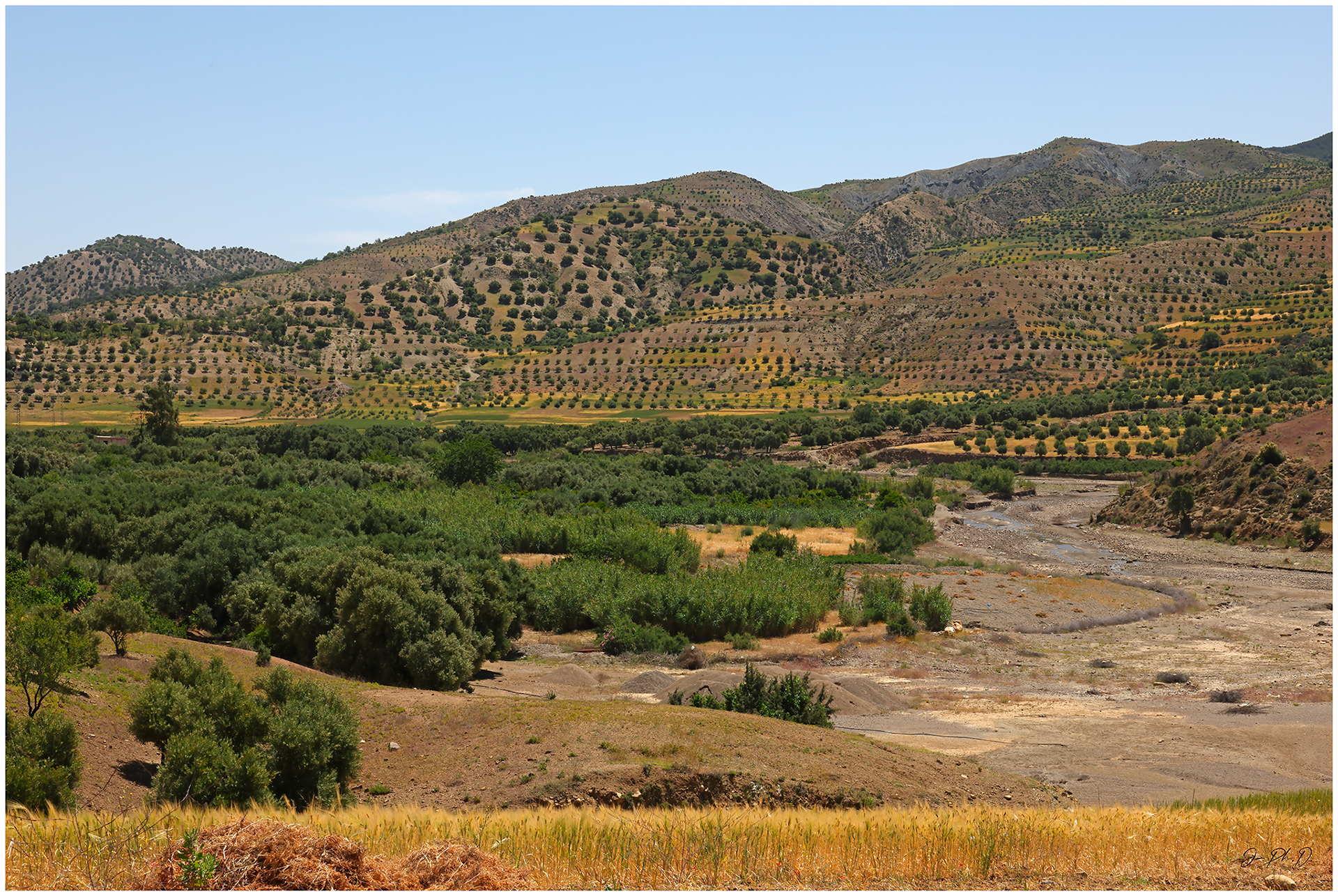 Beni Snassen, Morocco 2025.05 - #DK006