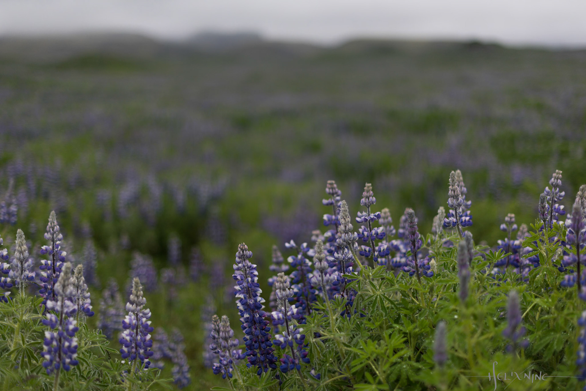 Suðurland, Ísland