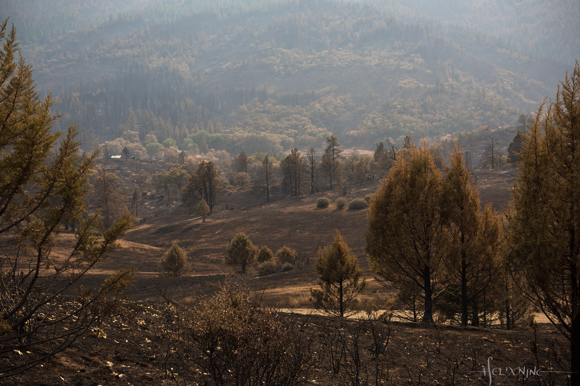 Shasta-Trinity National Forest, California