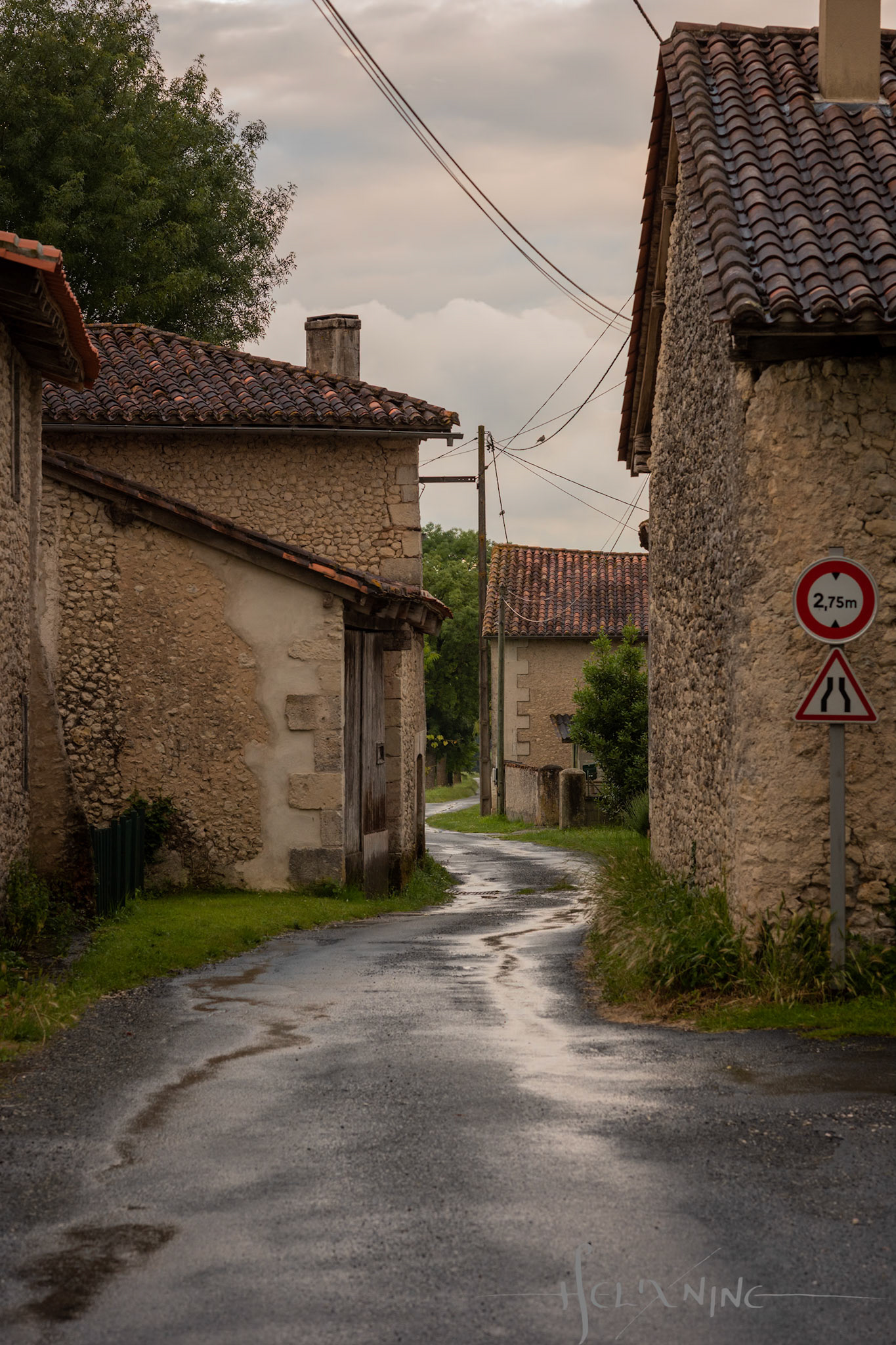 Tourneférie, France