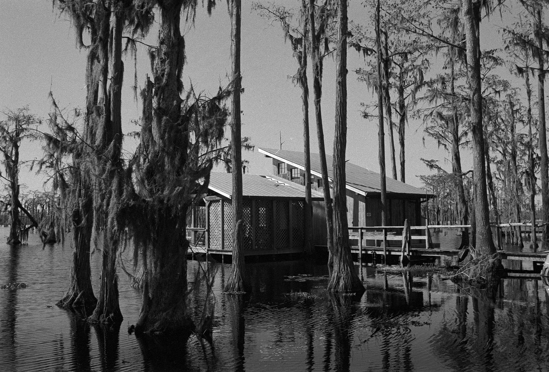 Georgia, USA. 35mm, 2025