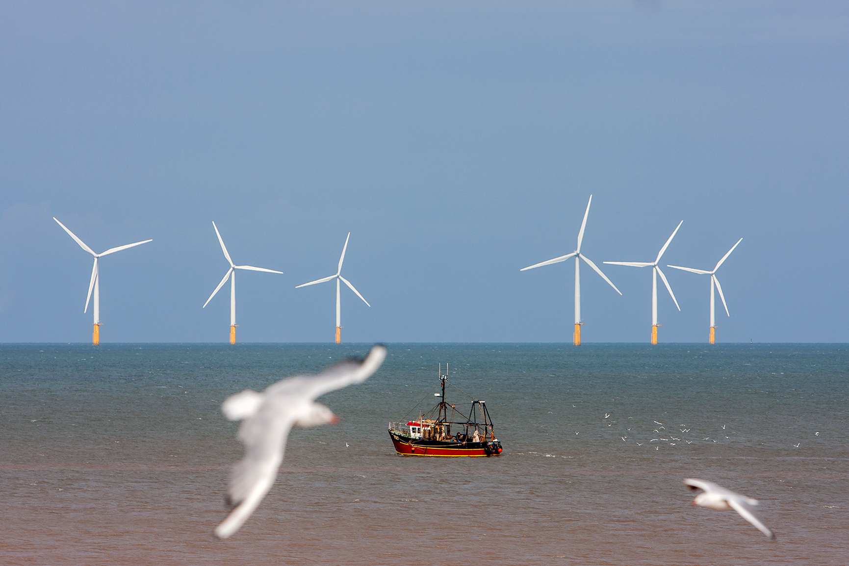 The wind beneath my wings 