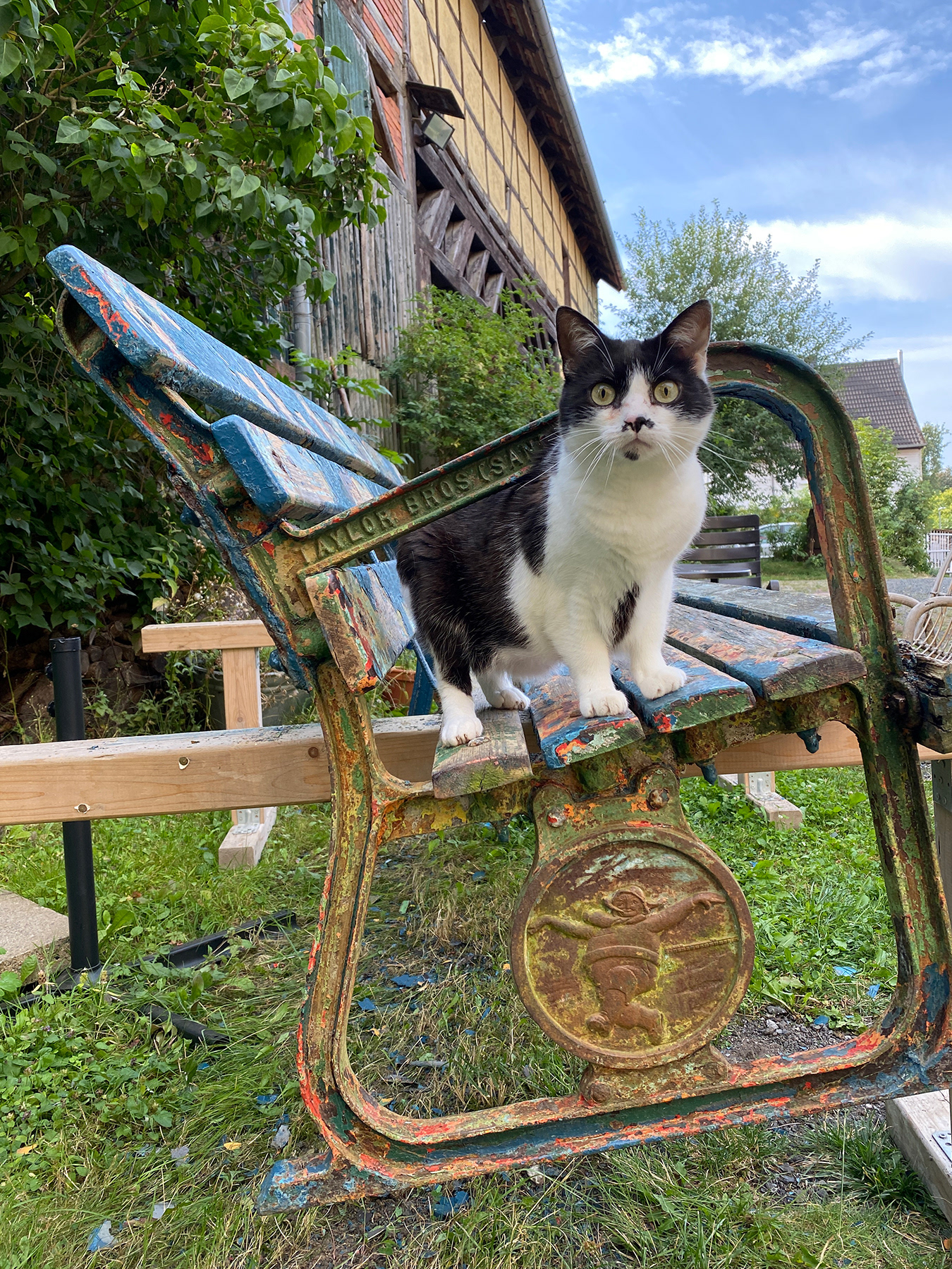 The Bench