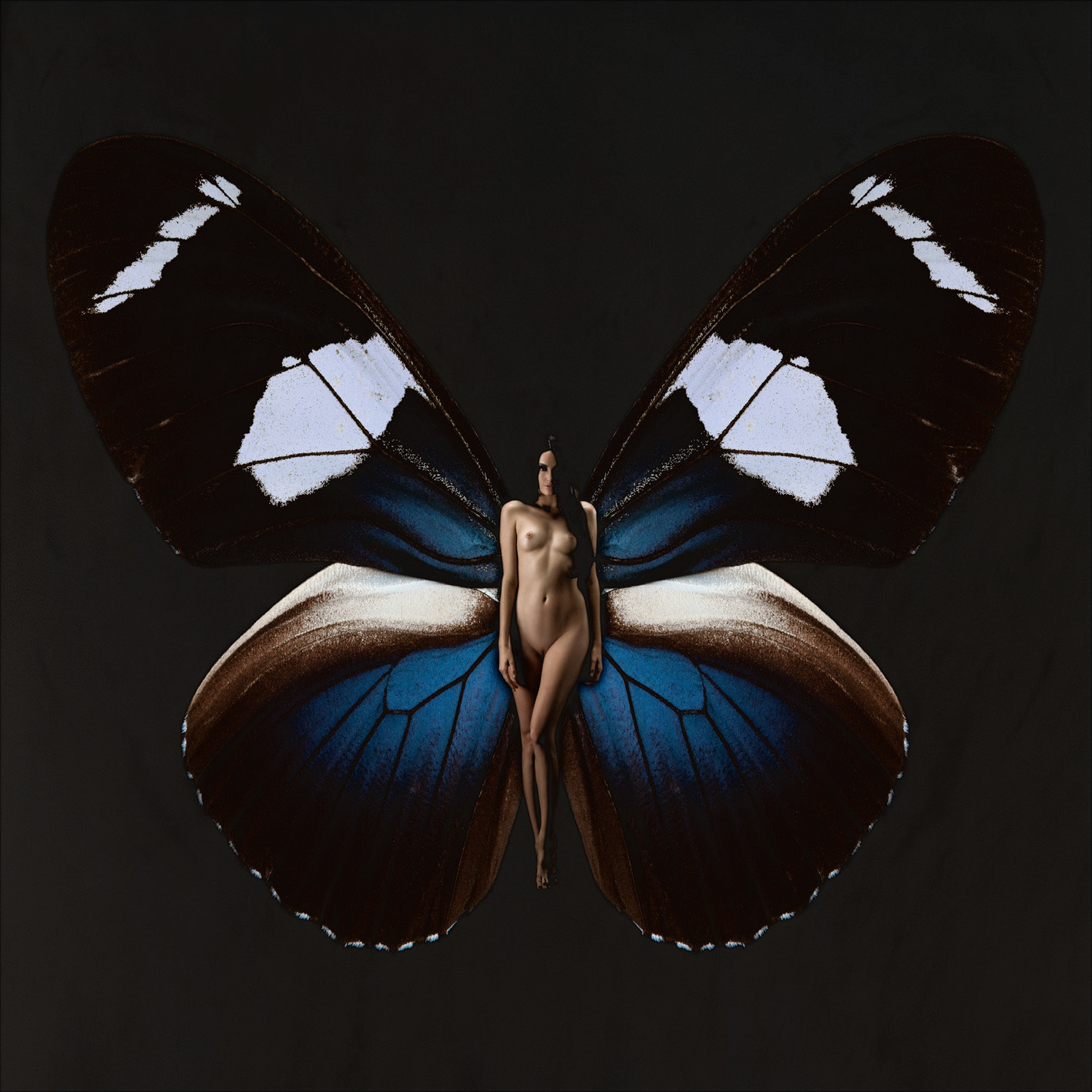 Женщина бабочка