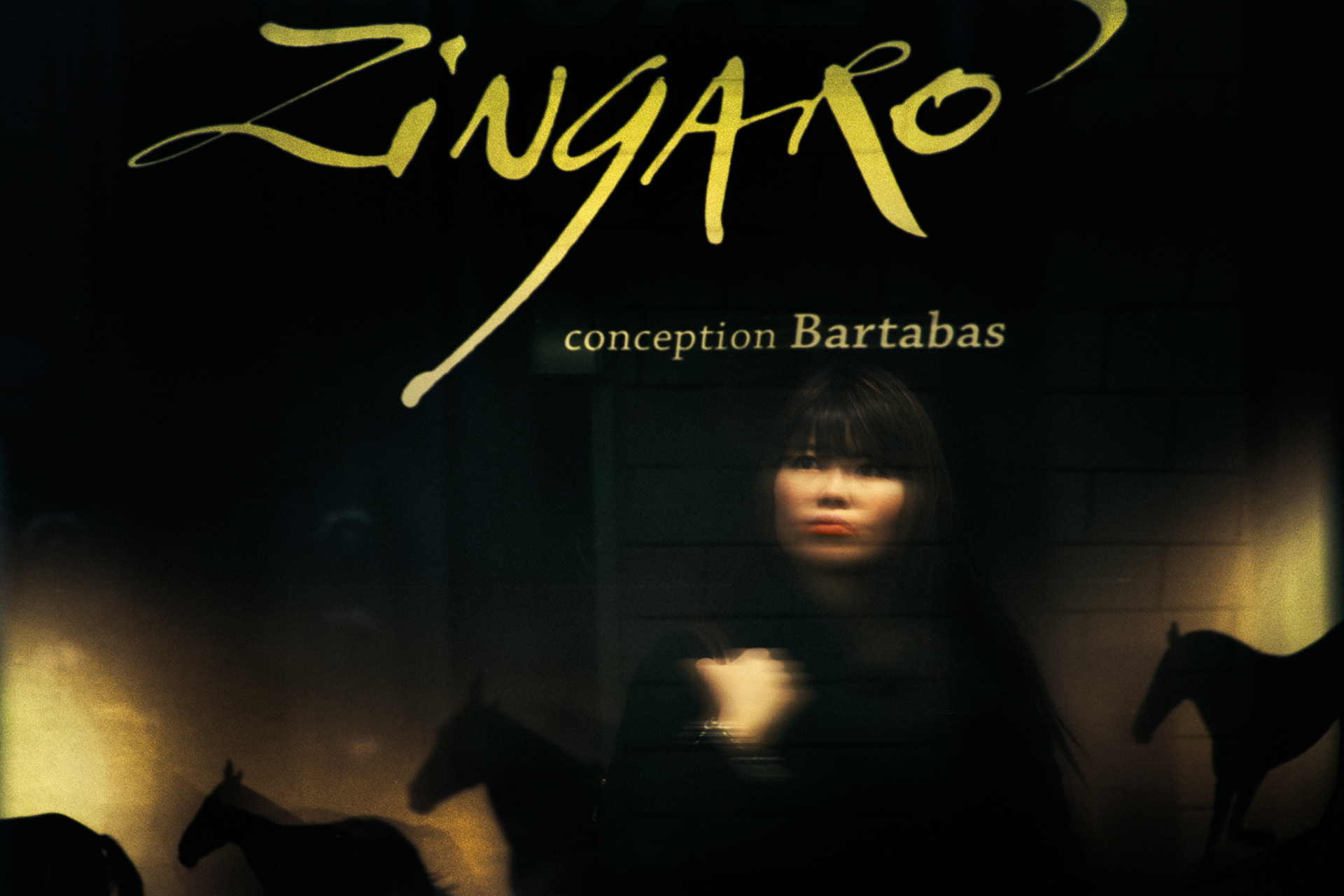 From the subway window, I watch a woman dissolving in the poster’s image. Paris, France. 2009.