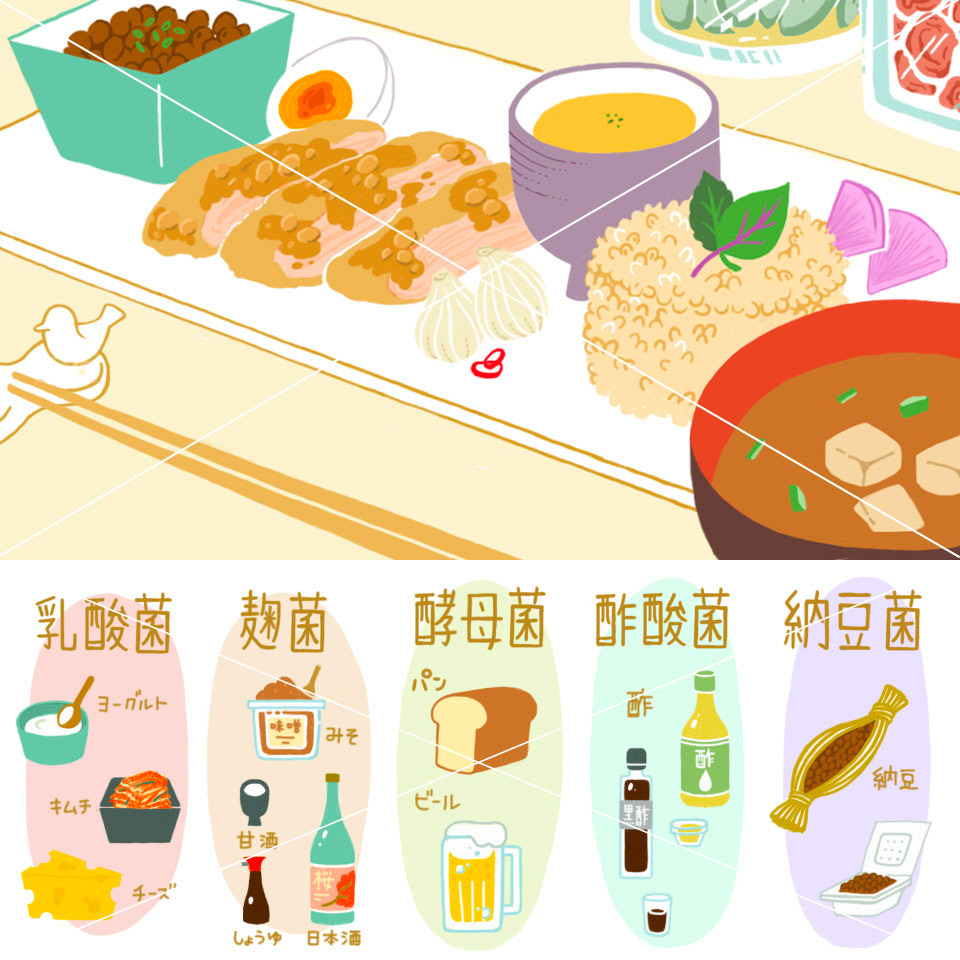 日清製粉グループ「ウェルナビ」webサイトコラムカット