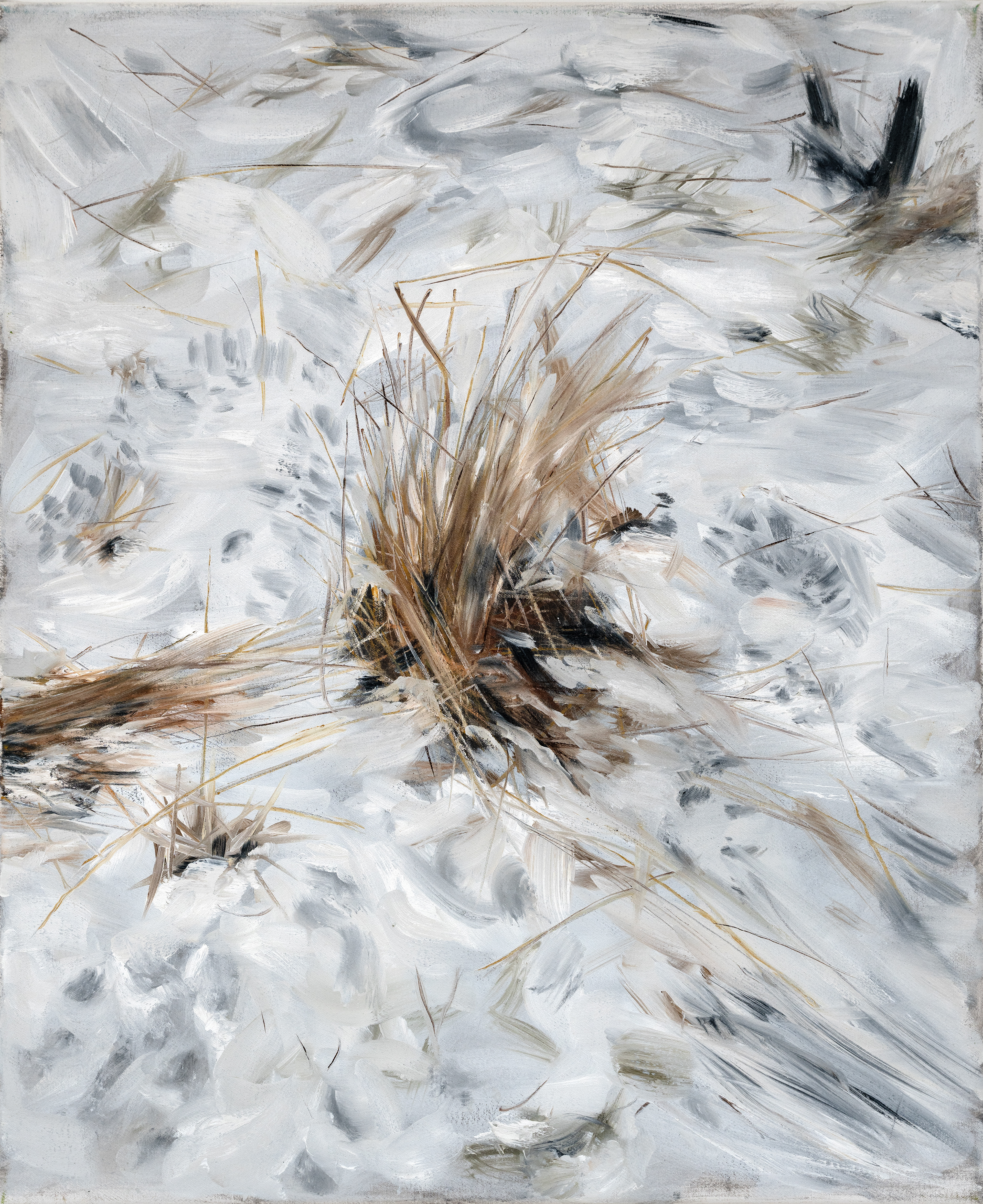 Untitled, Oil on canvas, 65.1 x 53 cm