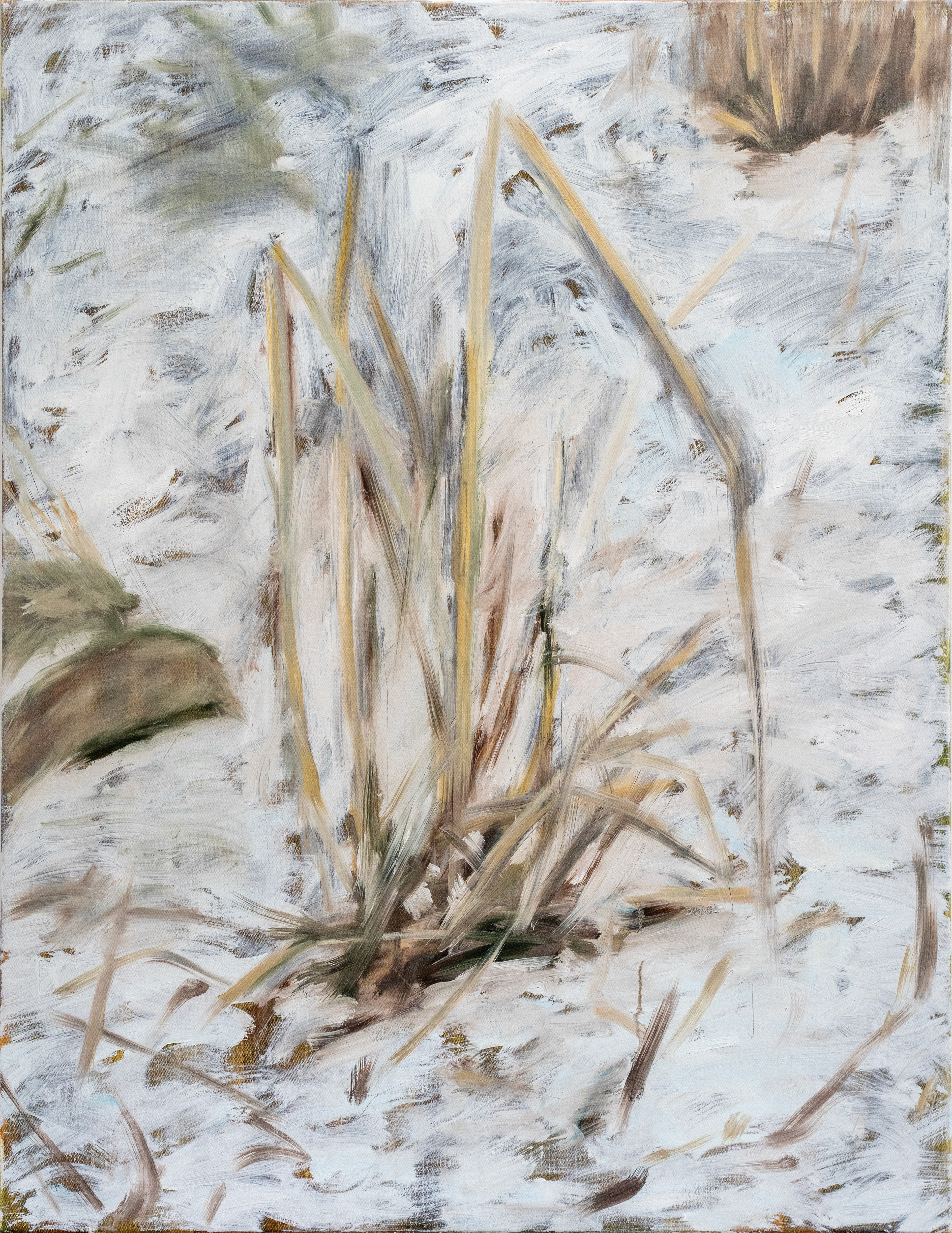 Untitled, Oil on canvas, 116 x 90 cm