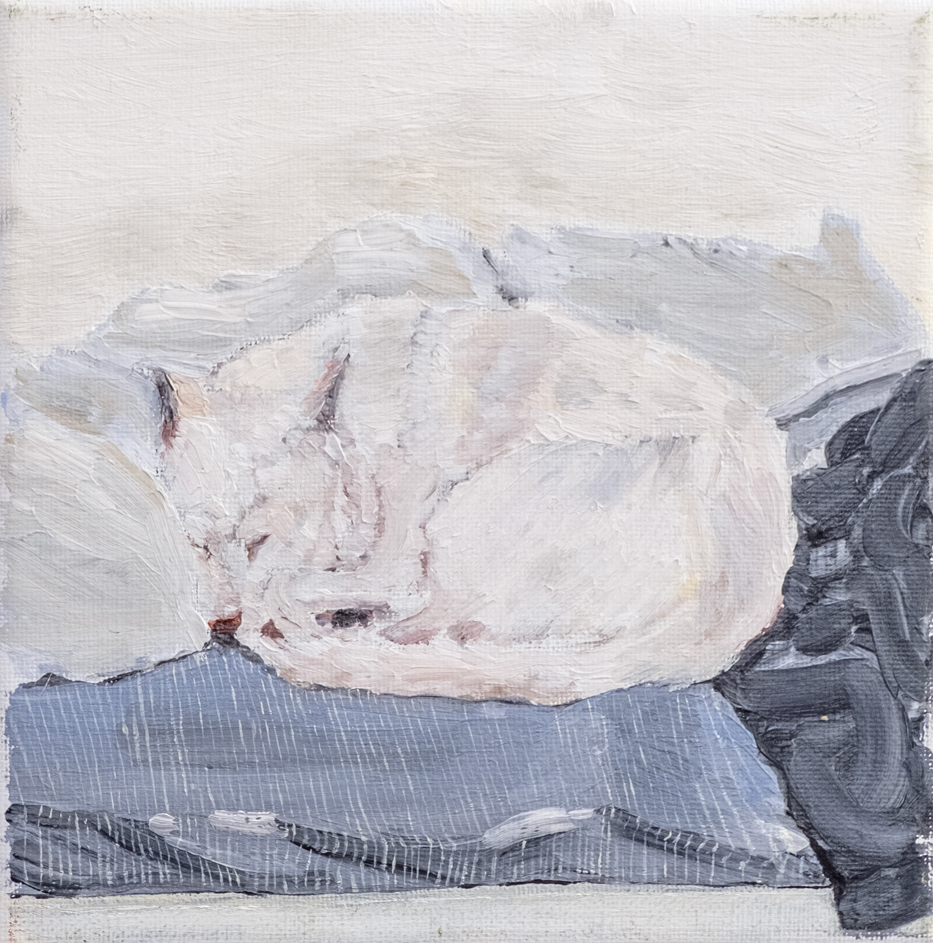 Untitled, Oil on canvas, 20 x 20 cm