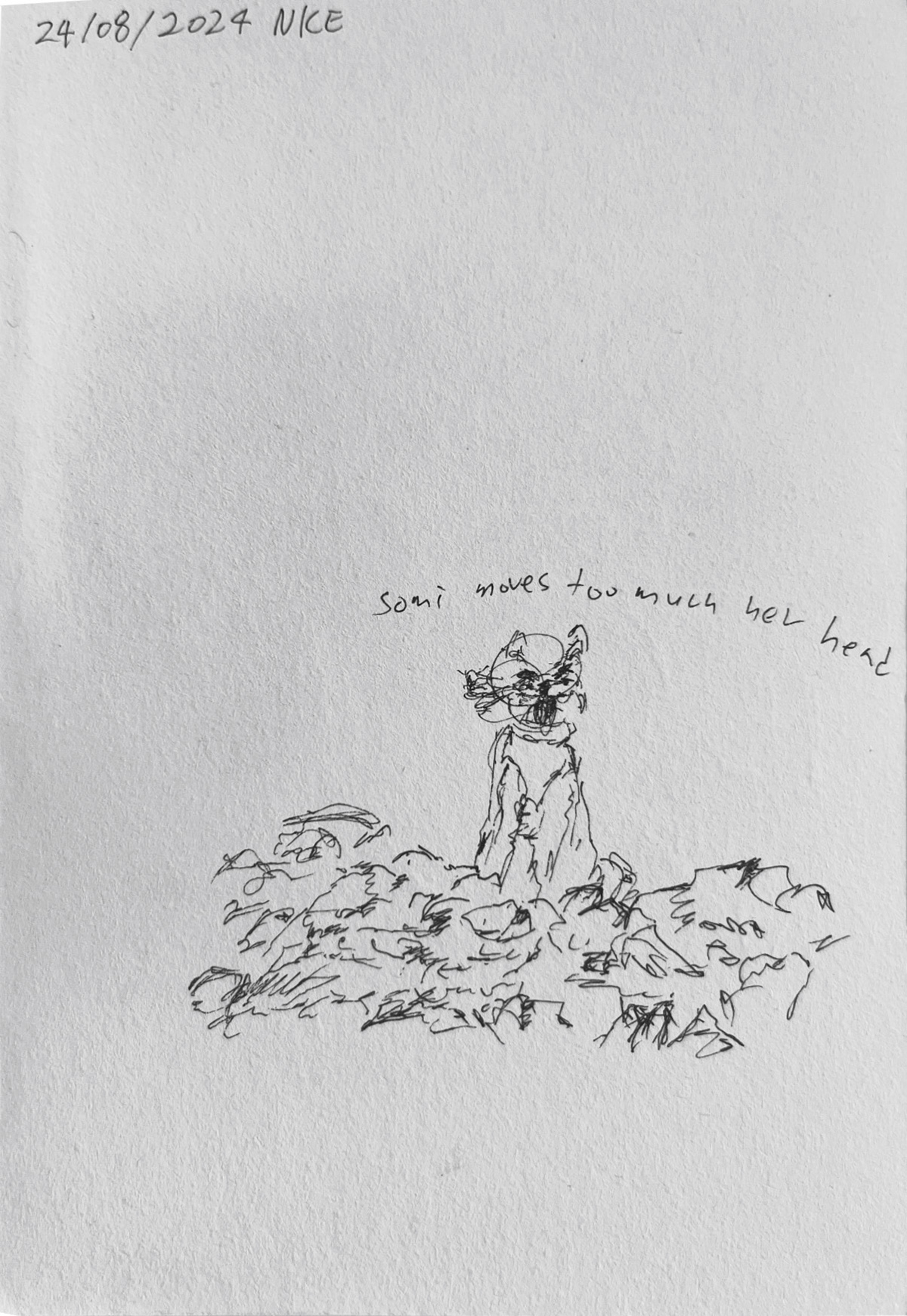 Untitled, 2024, Archival ink on paper, 14.8 x 10.2 cm