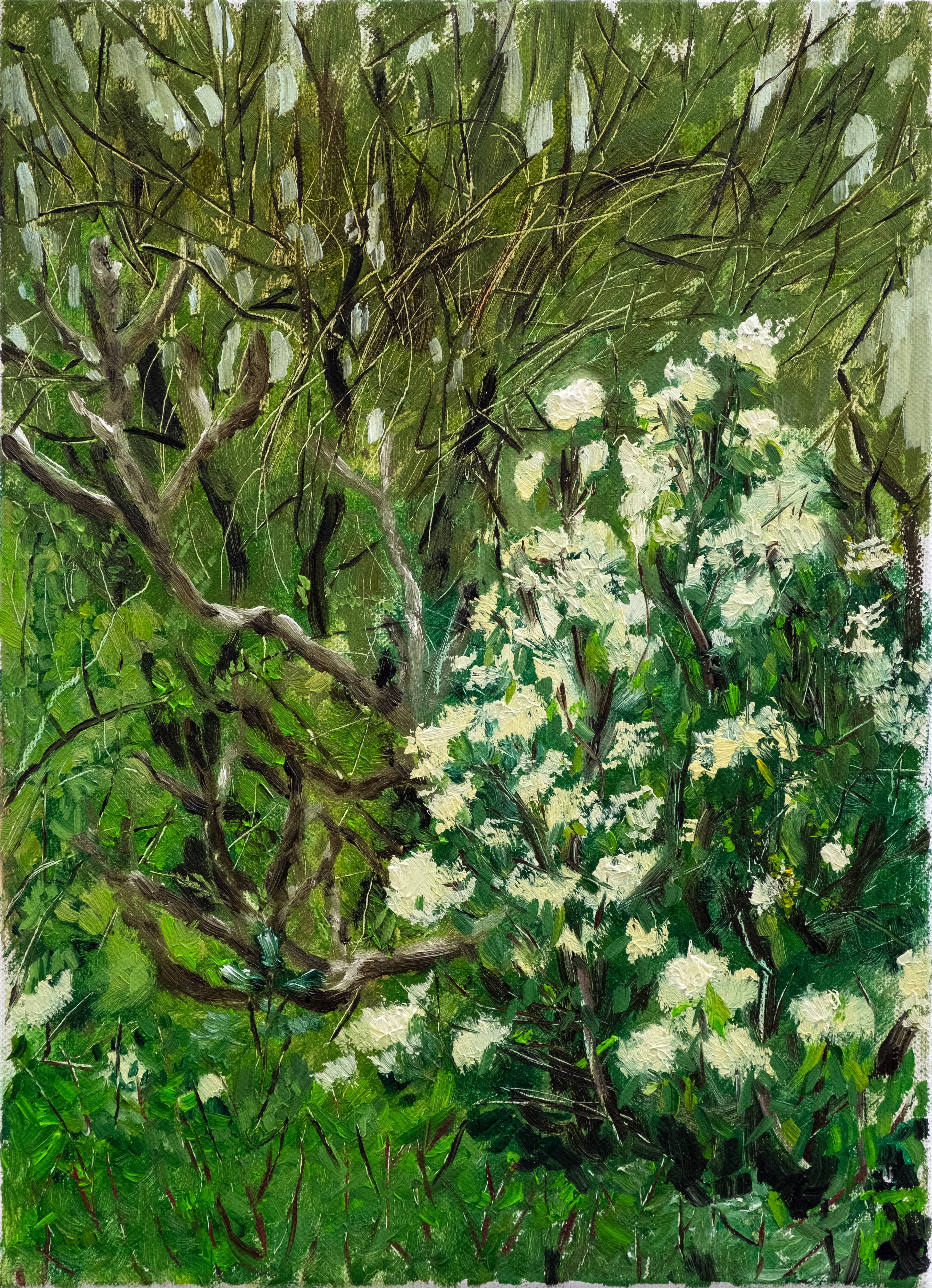 Untitled, Oil on canvas, 33.4 x 24.2 cm