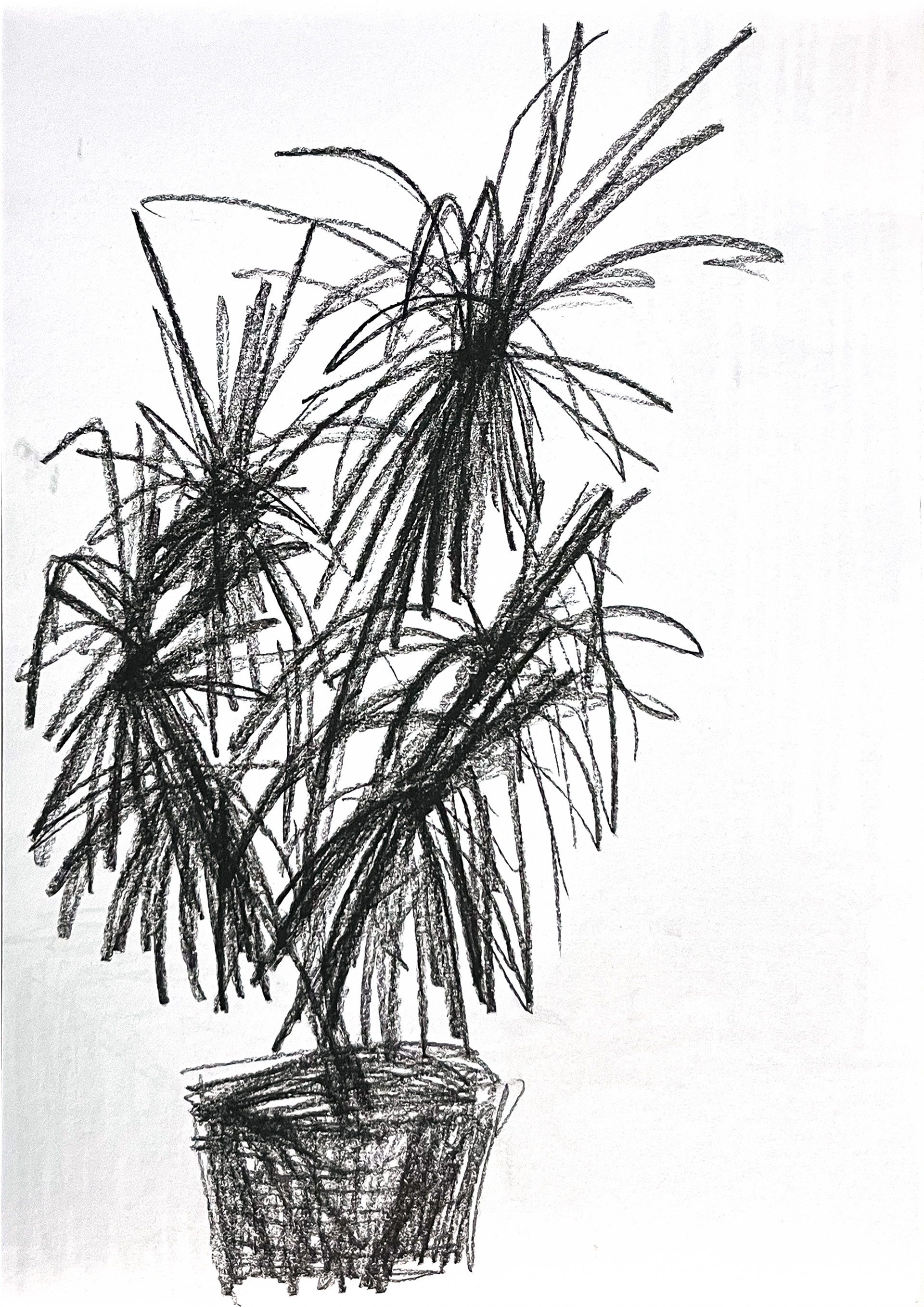 Untitled, 2026, Charcoal on paper, 29.7 x 21 cm