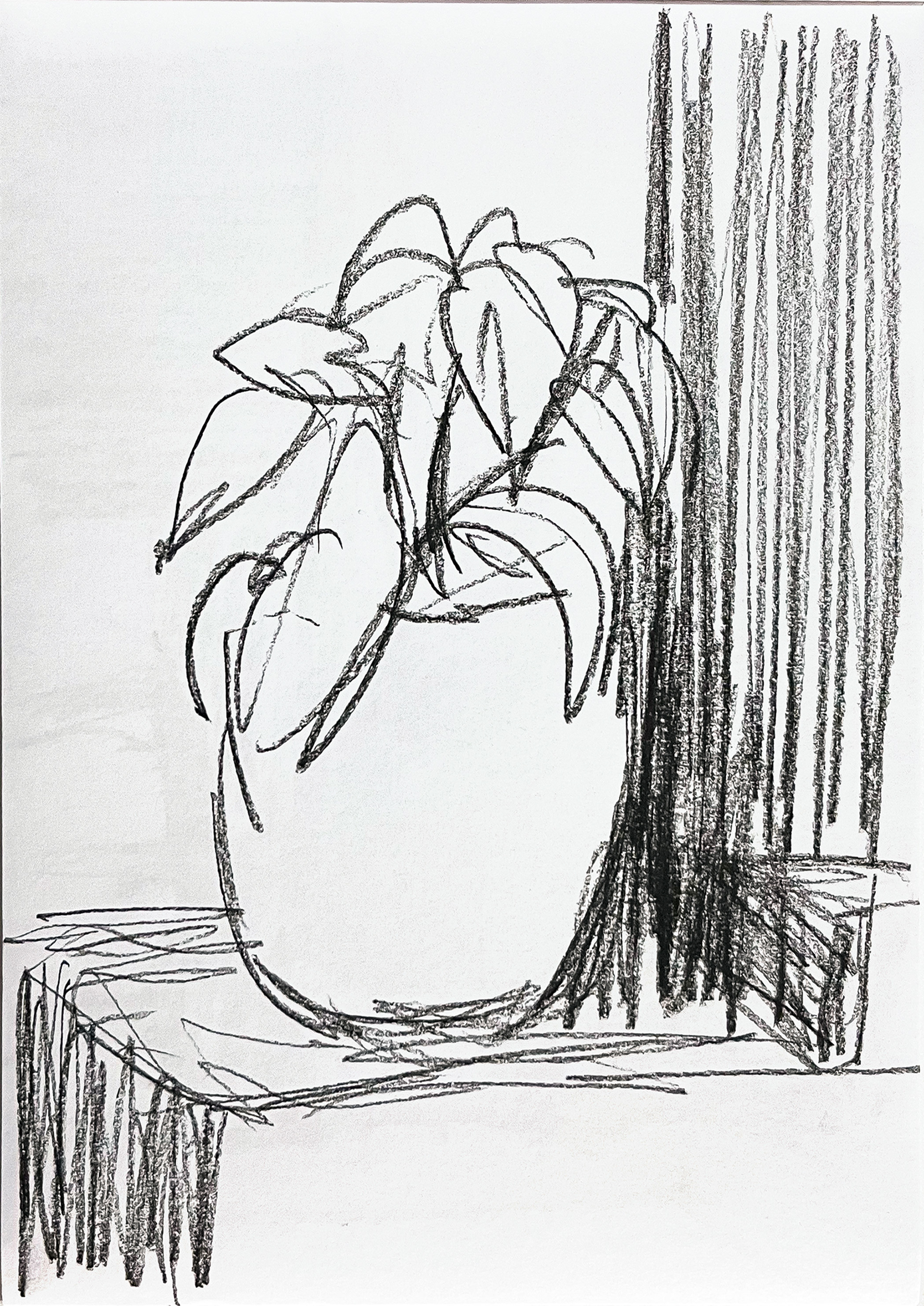 Untitled, 2026, Charcoal on paper, 29.7 x 21 cm