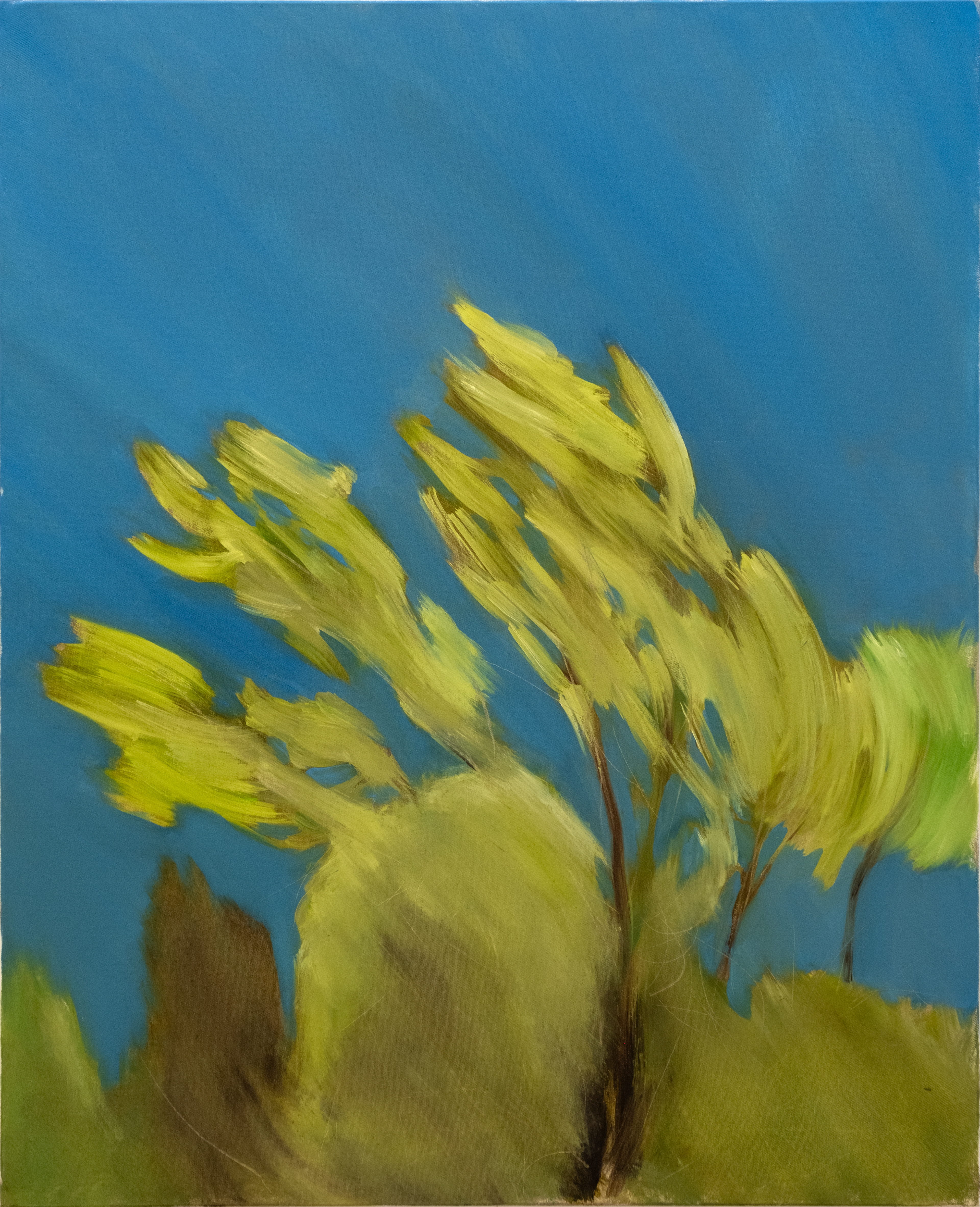 Untitled, Oil on canvas, 100 x 80.3 cm