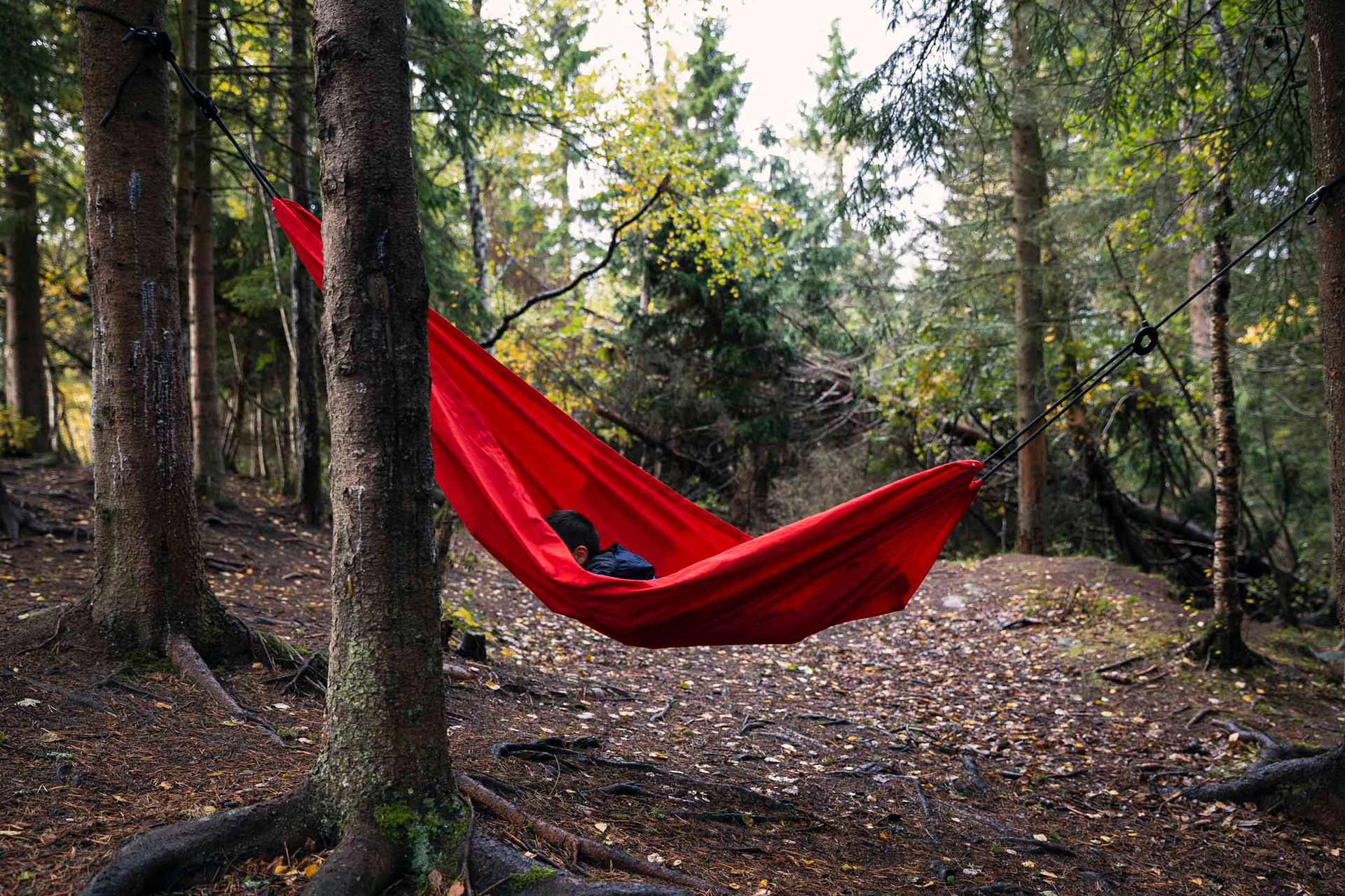 Uteskole, Sjetne skole.   For Adresseavisen -  Trondheim, 2018. 