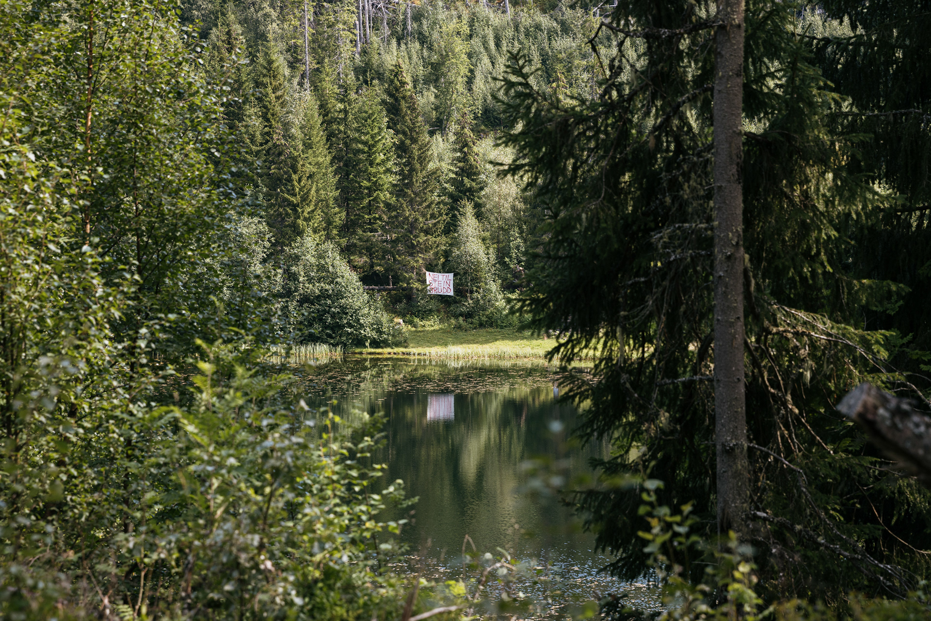 A sign protesting a quarry by Stokkdalstjønna.  For Adresseavisen -  Trondheim, 2021.