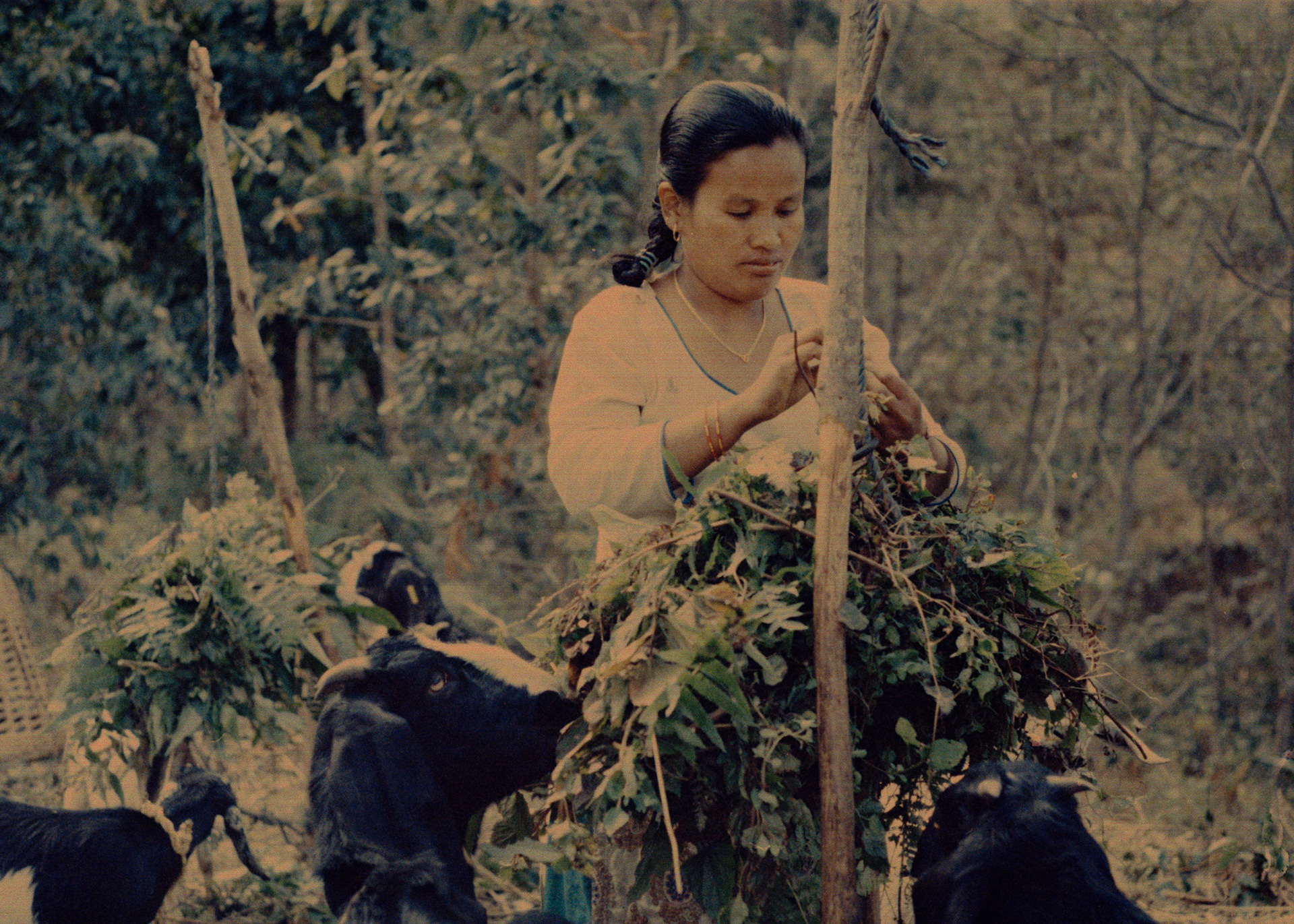 Jirel works on the farm every day and says that she enjoys the village-life.