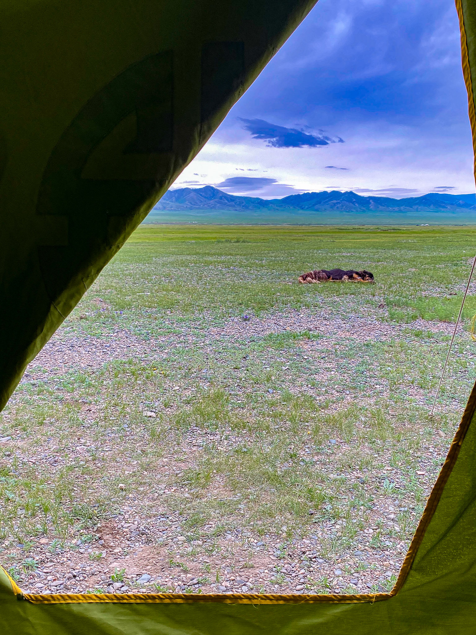 View from the throne in the toilet tent