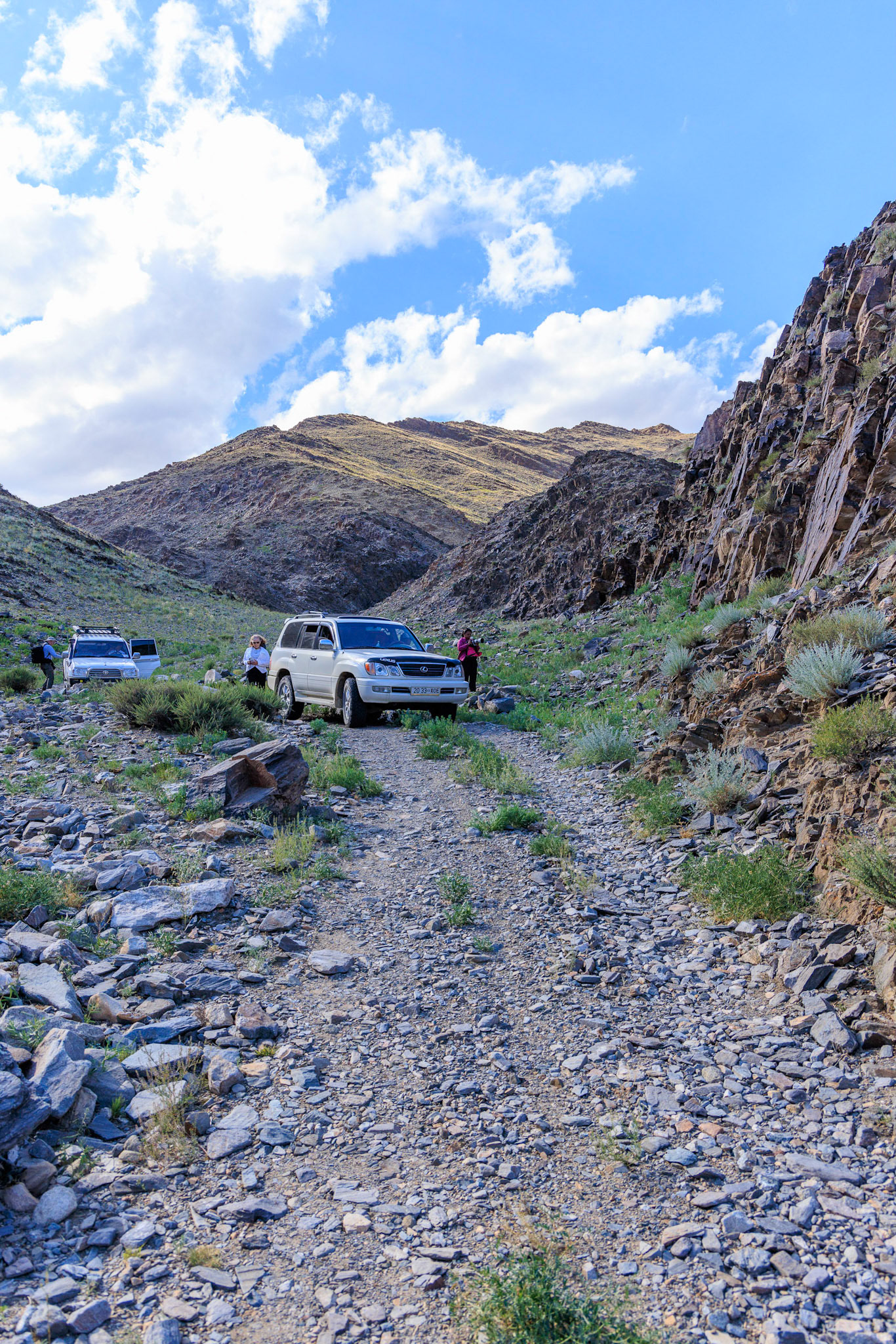 Typical road in the Khoit Tsenkher petroglyphs  arae in Mankhan sum, Khovd Aimag, Mongolia