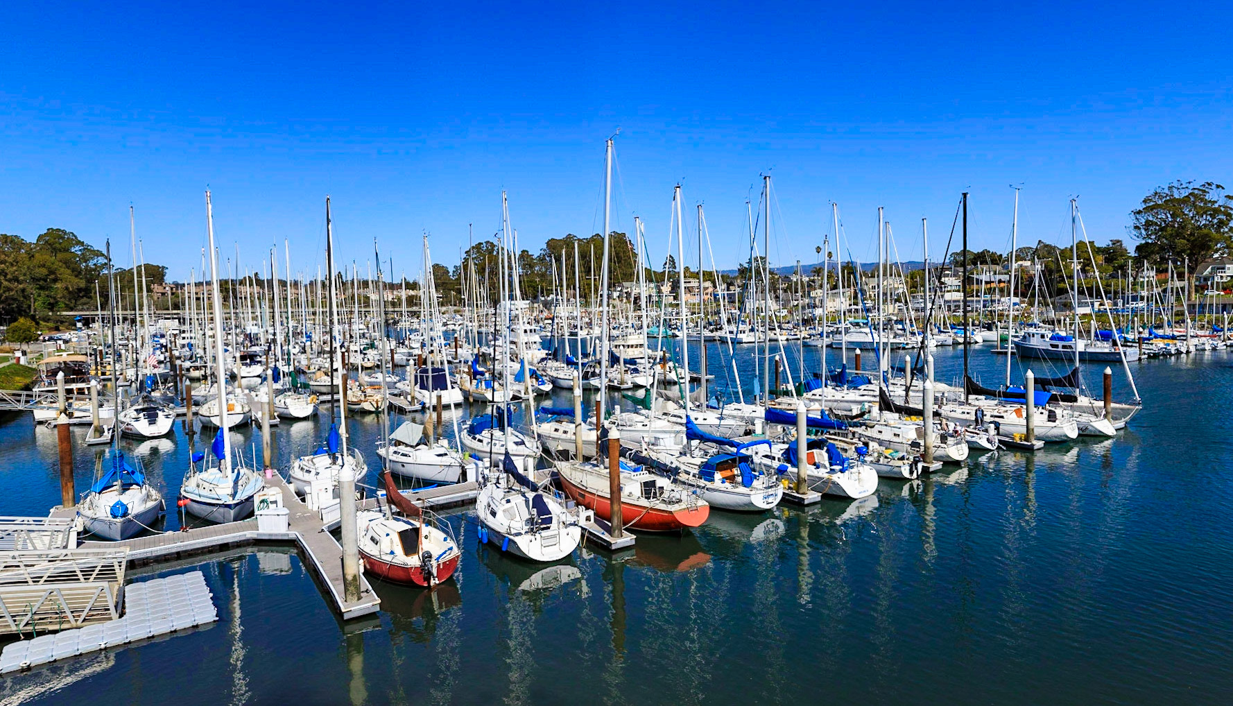 Santa Cruz Harbor