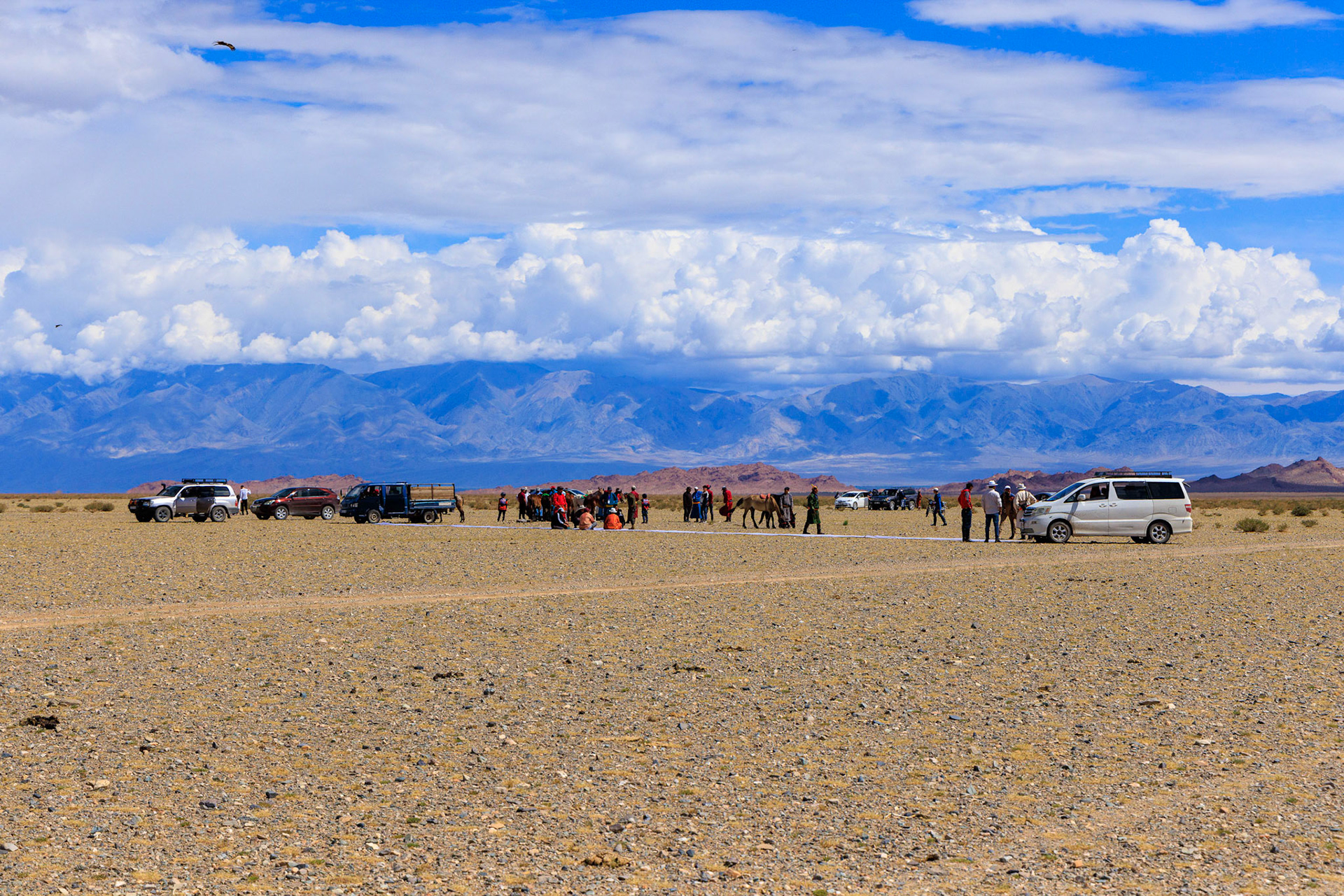 Starting line for a Hovd Dadam Festival Horse race. There will be 70 horses in this race
