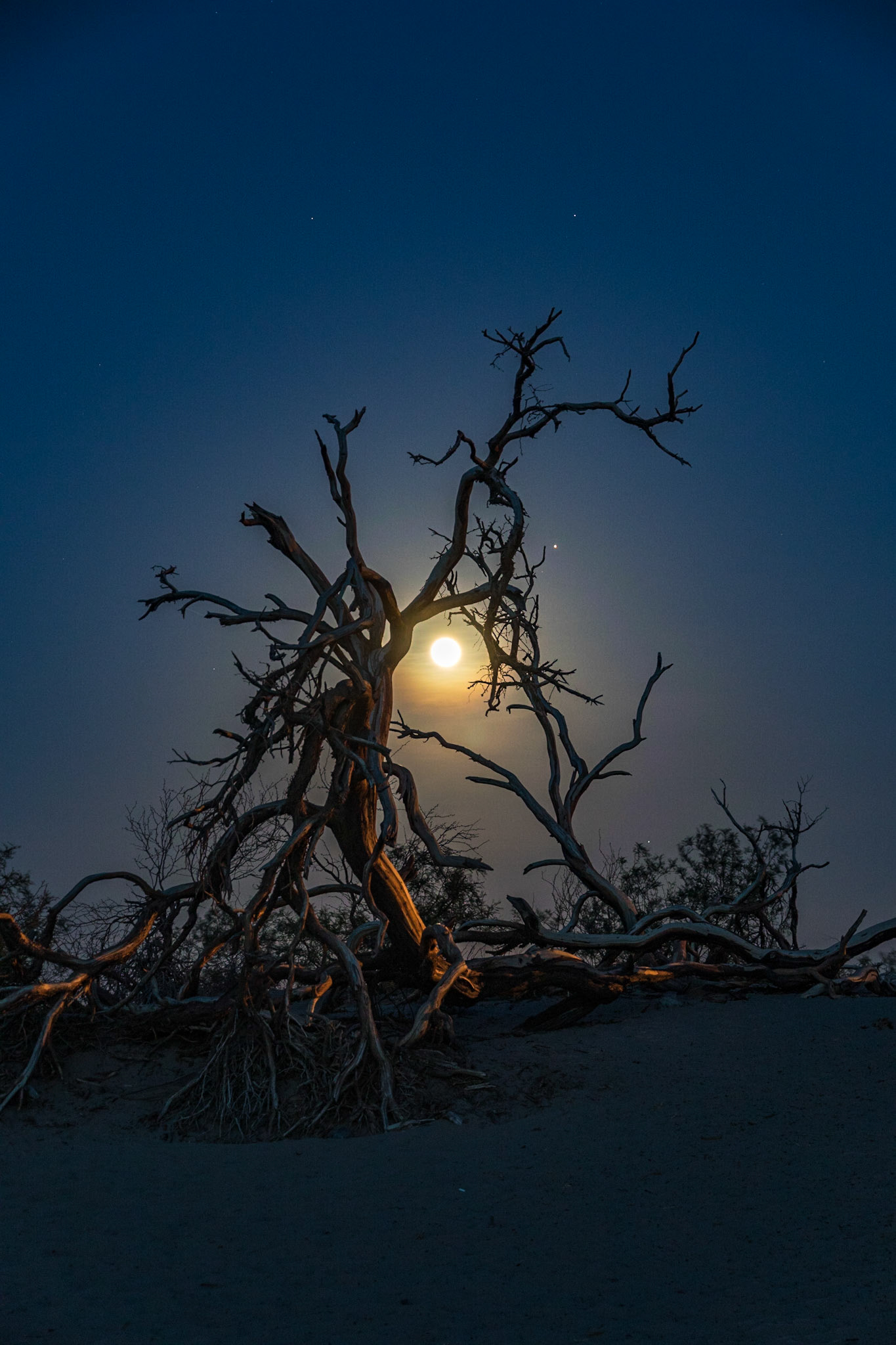 Full moon arising over the Mesquite Flat Sand Dunes in Death Valley National Park, California. The sand dunes are at the northern end of the Death Valley floor and are nearly surrounded by mountains on all sides.